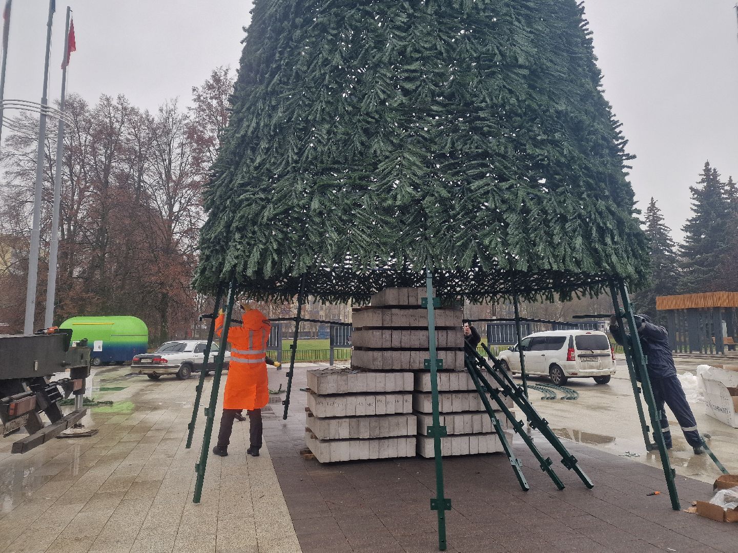 воскресенск,  зима в подмосковье, новогодние ели,