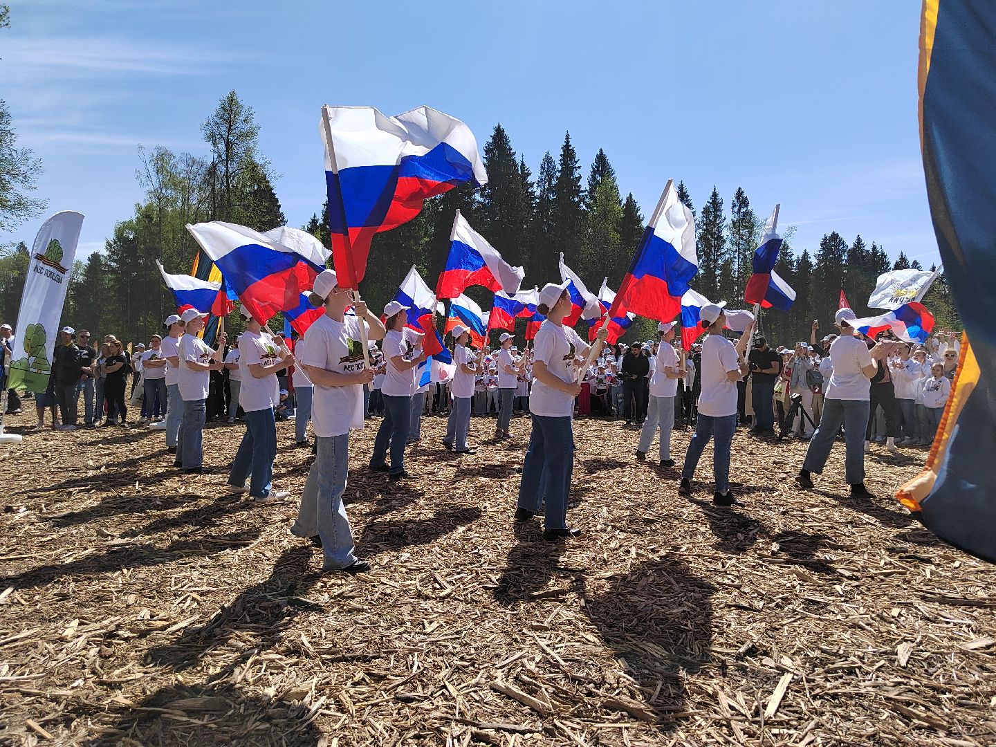 Пушкино, Лес Победы, Ельдигино, Помним