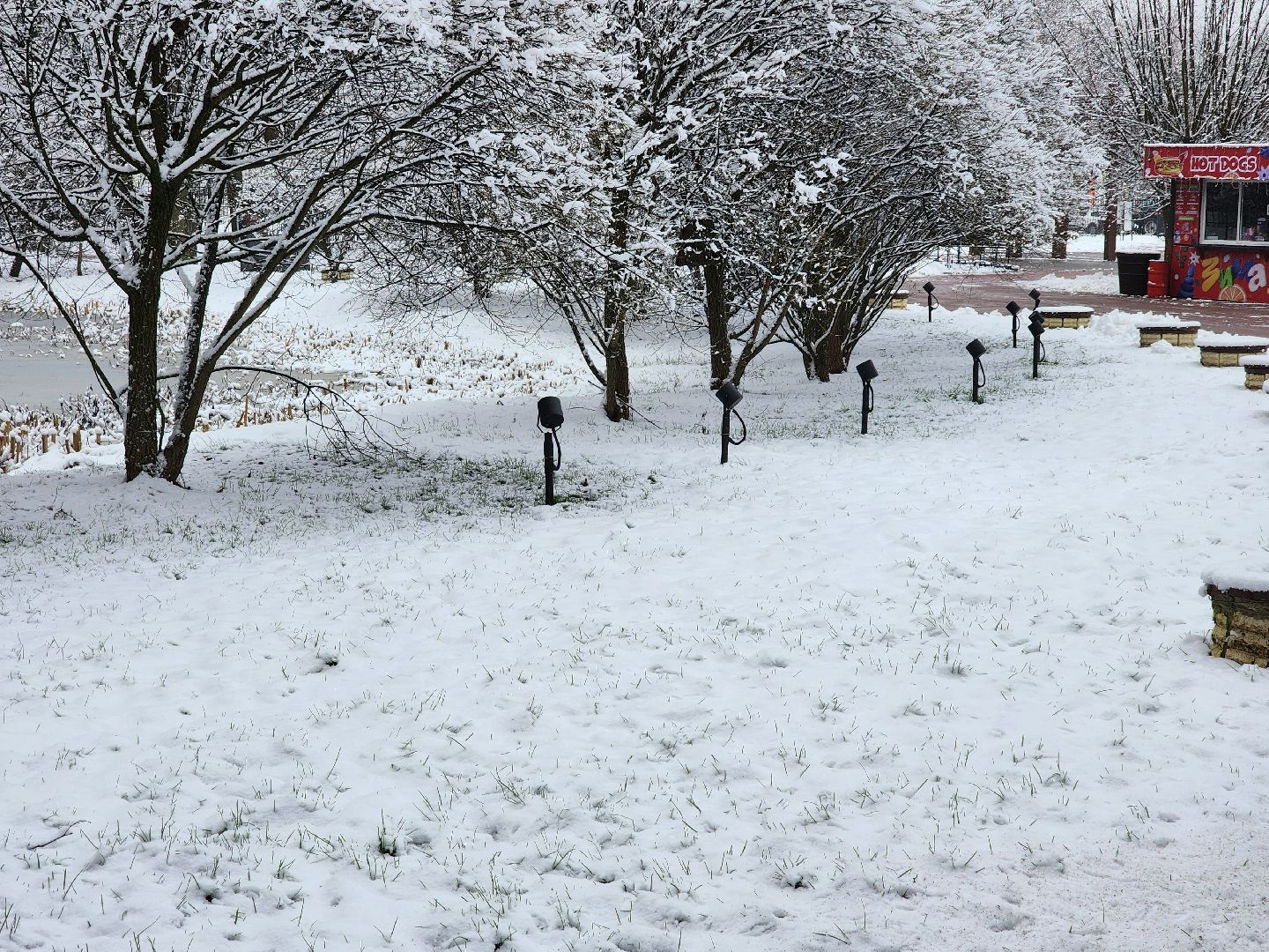 сергиев посад, сергиево-посадский городской округ, парк скитские пруды, лесопарк загорское море, зима в подмосковье,  каток, зимний сезон в парке, зимний досуг,