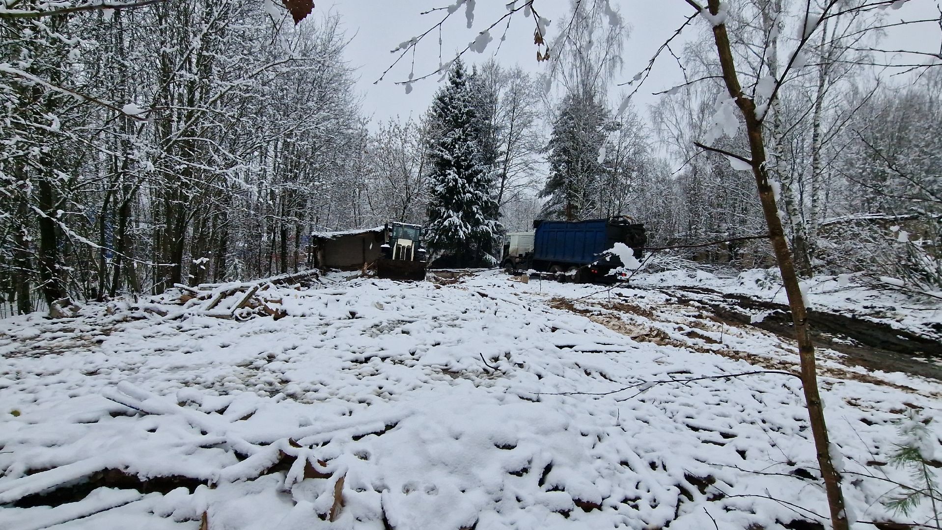 Дубна, Снос, Благоустройство,