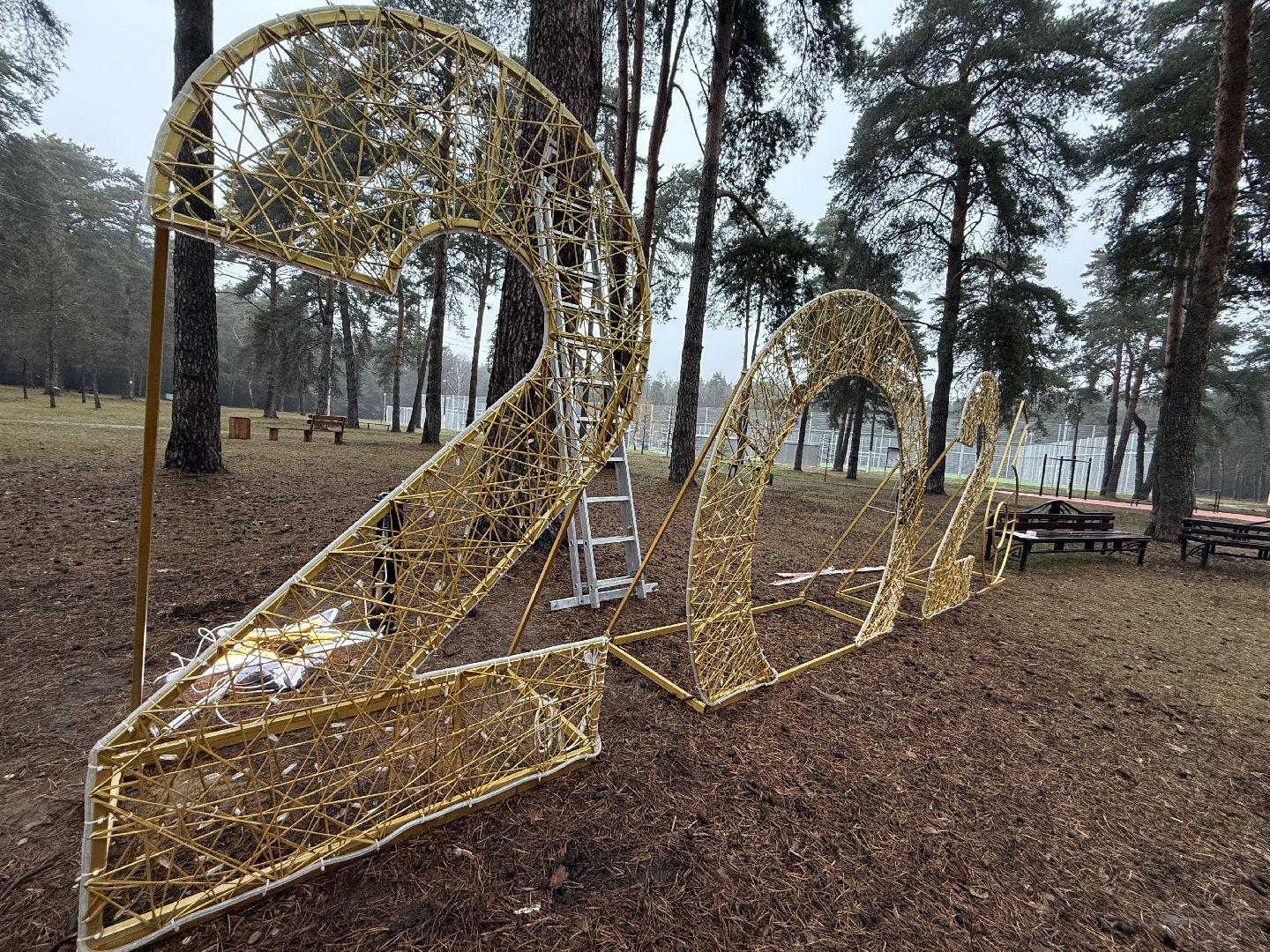 Котельники, Новый год 2026, Новогодняя елка, зима в подмомсковье,