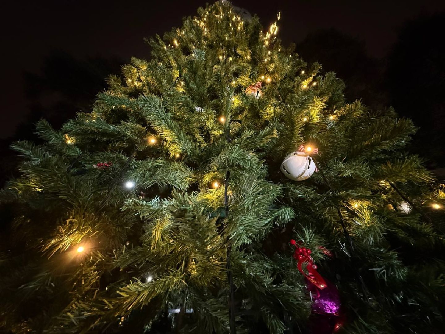 Котельники, Новый год 2026, Новогодняя елка, зима в подмомсковье,