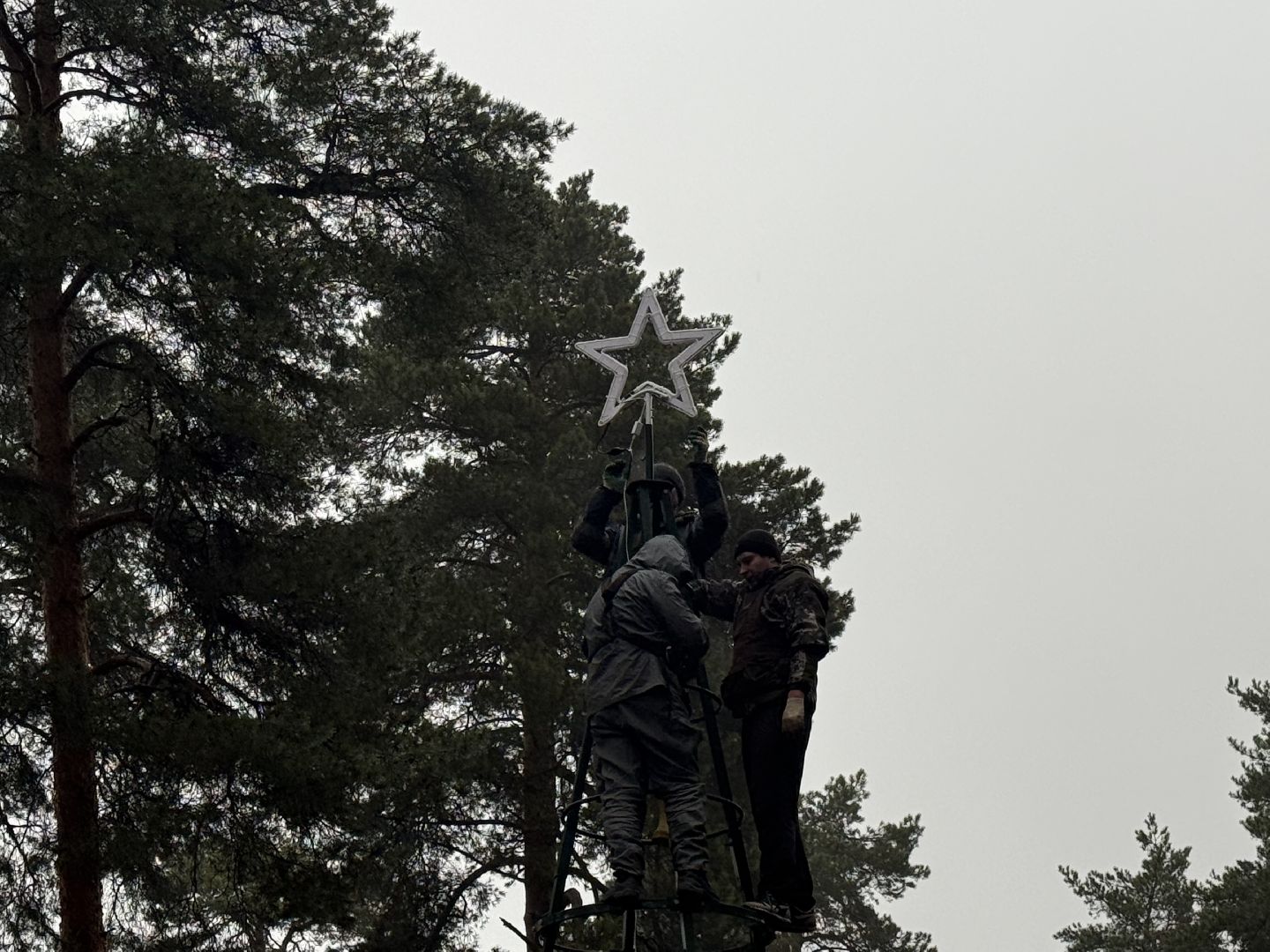 Котельники, Новый год 2026, Новогодняя елка, зима в подмомсковье,