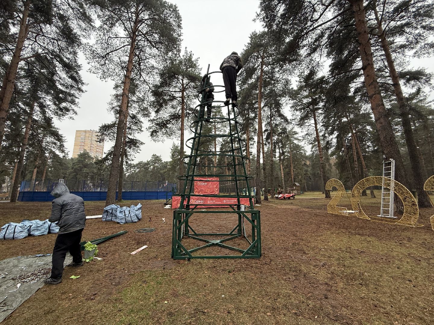 Котельники, Новый год 2026, Новогодняя елка, зима в подмомсковье,