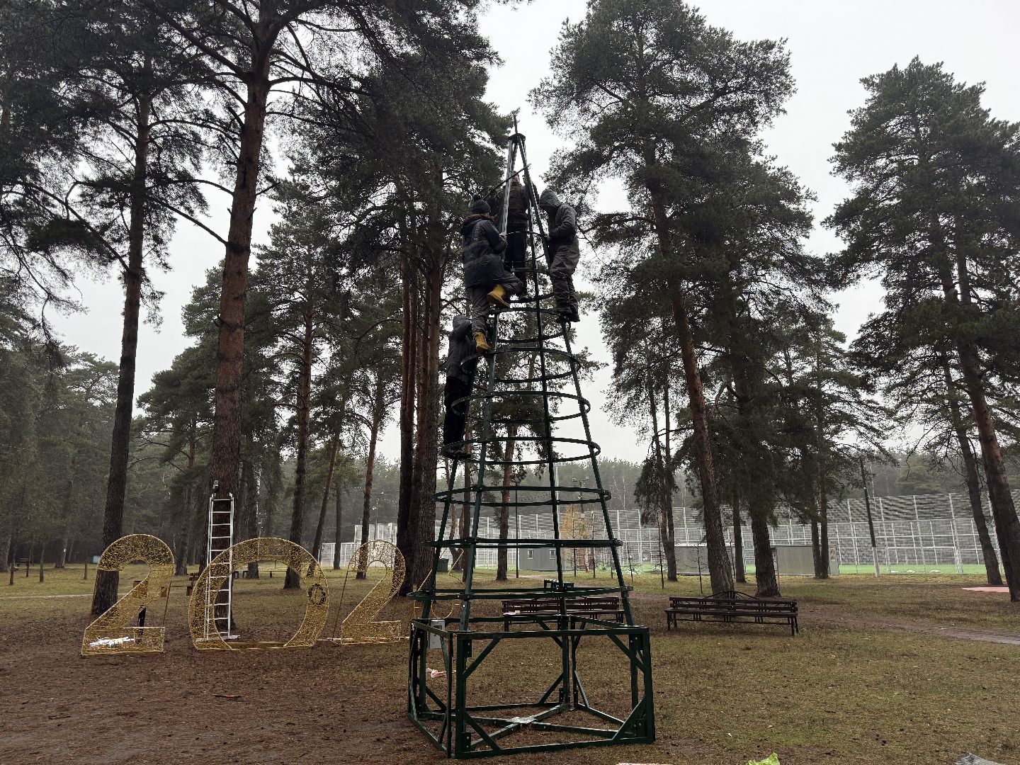 Котельники, Новый год 2026, Новогодняя елка, зима в подмомсковье,