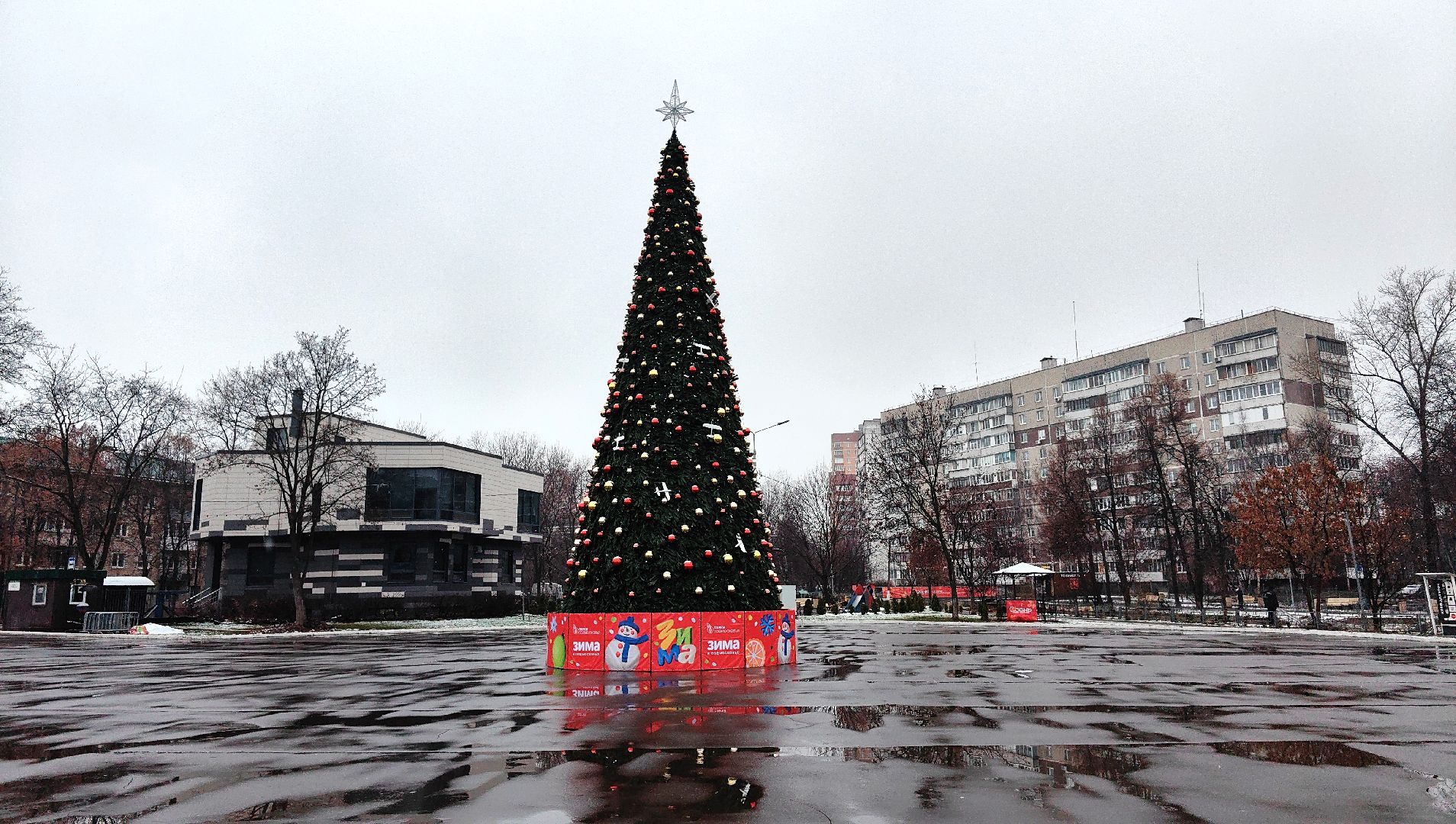 елка, новый год, дед мороз, снегурочка,