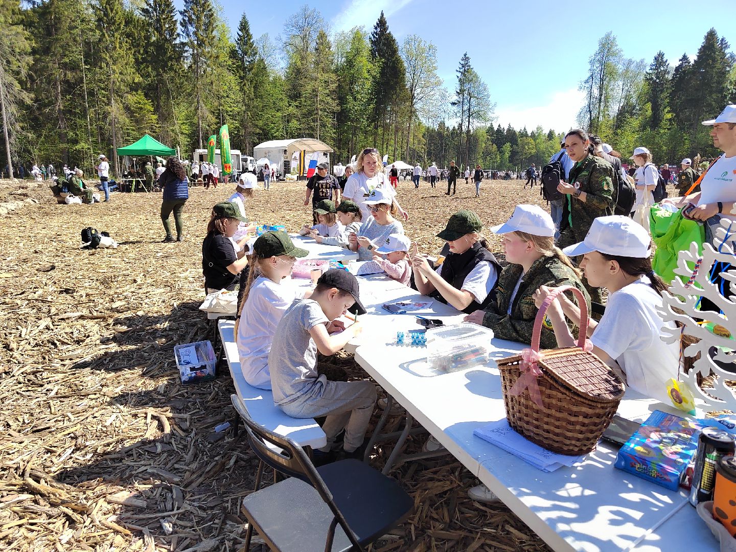 Пушкино, многодетные, Лес Памяти, Пушкинский округ, Ельдигино