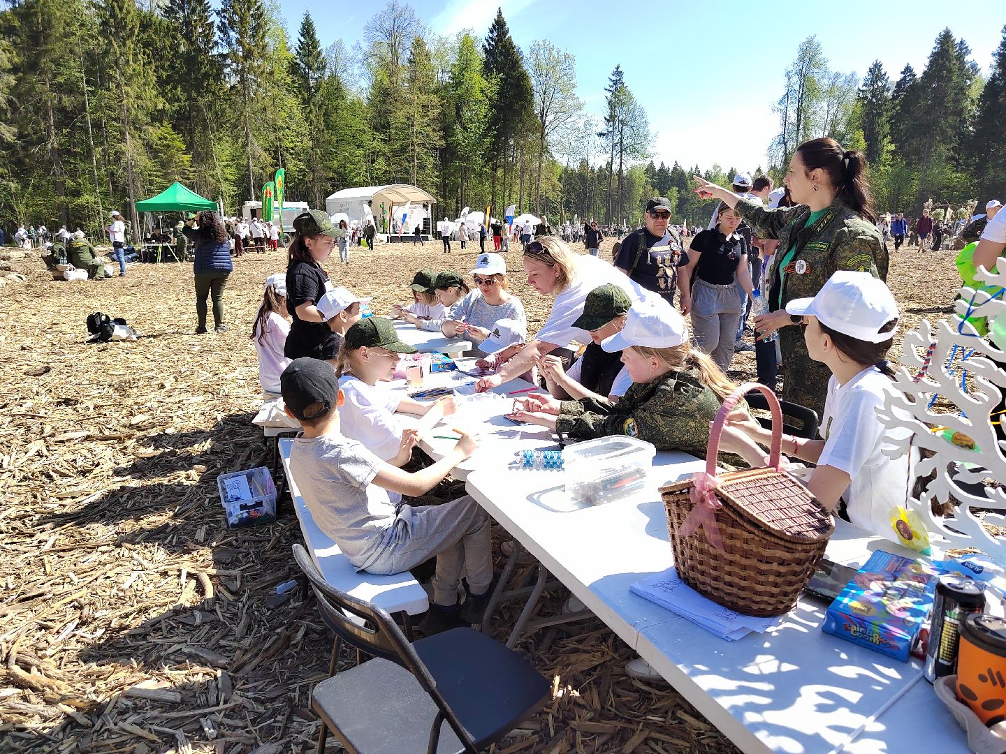 Пушкино, многодетные, Лес Памяти, Пушкинский округ, Ельдигино