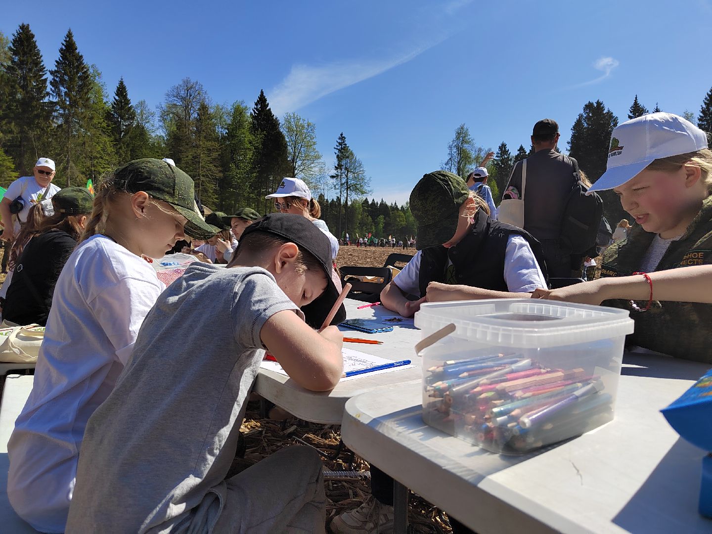 Пушкино, многодетные, Лес Памяти, Пушкинский округ, Ельдигино