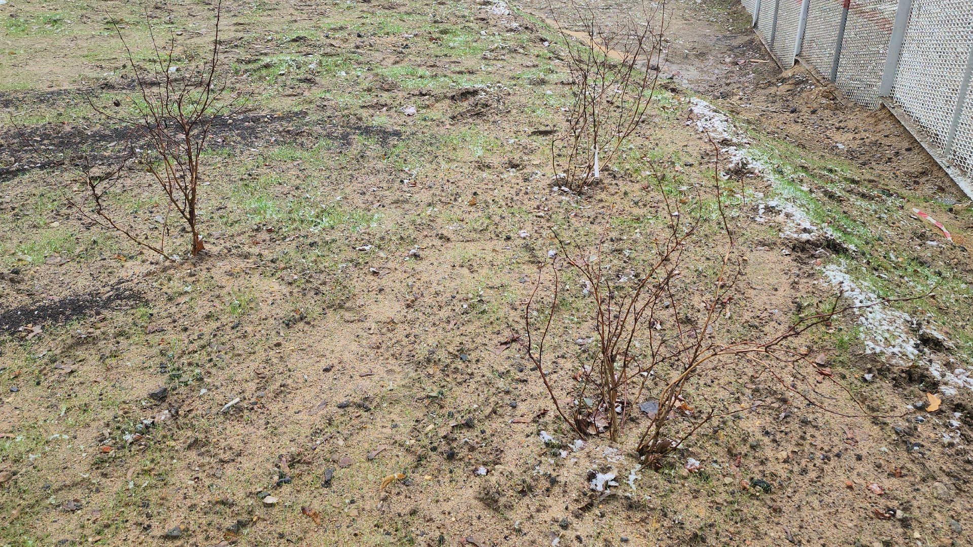 Люберцы, надземный пешеходный переход, малаховка,