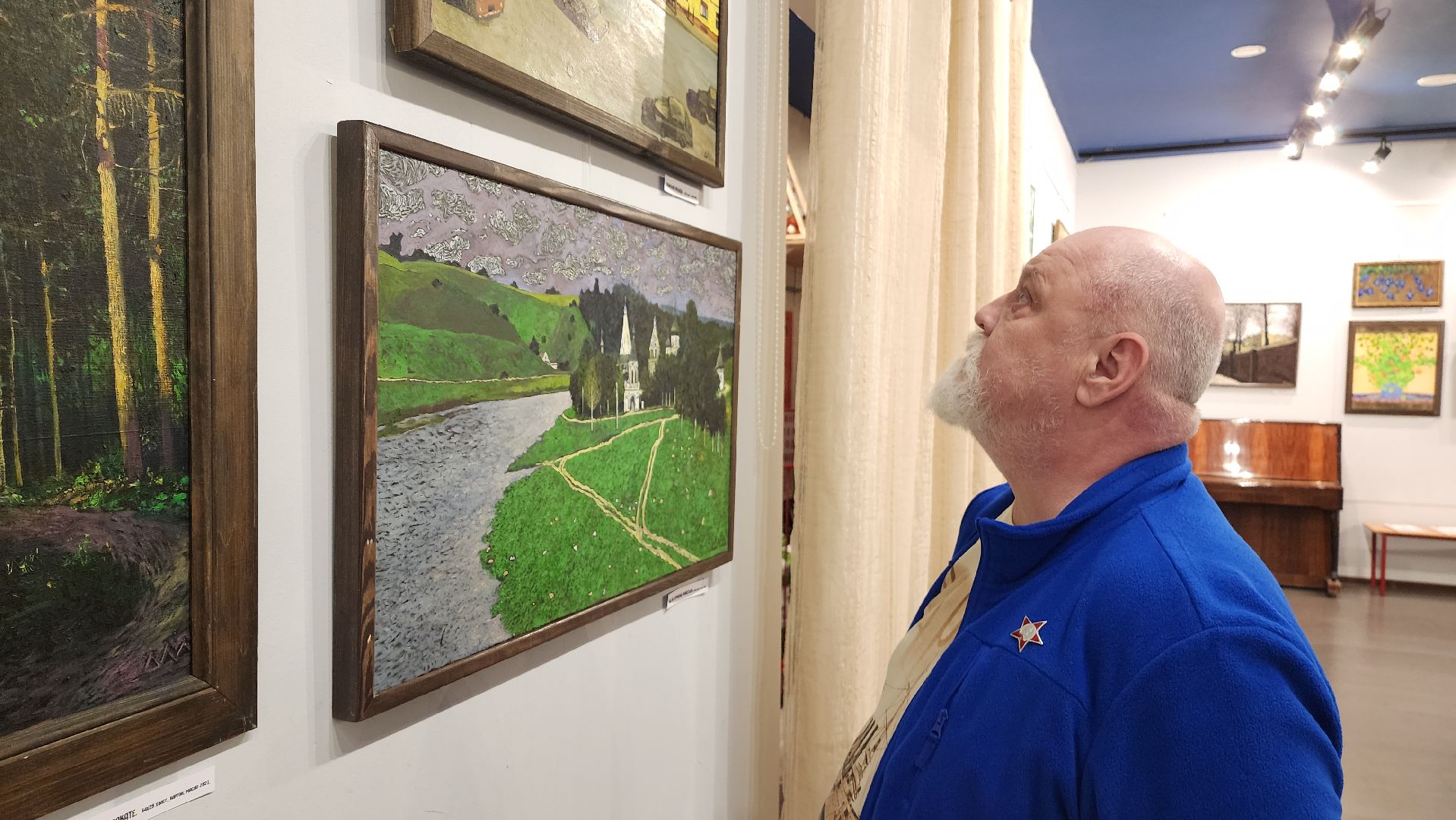 выставка, митьки, художник, красногорск,