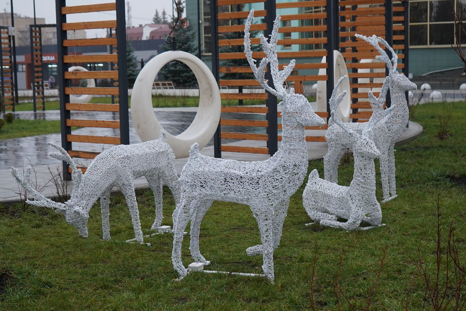 новый год, украшение, новогодние елки,