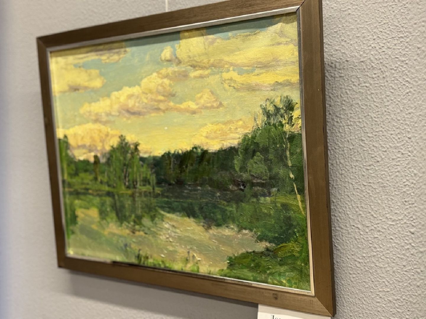 Сергиев Посад , Ирина Виниченко , пейзаж,