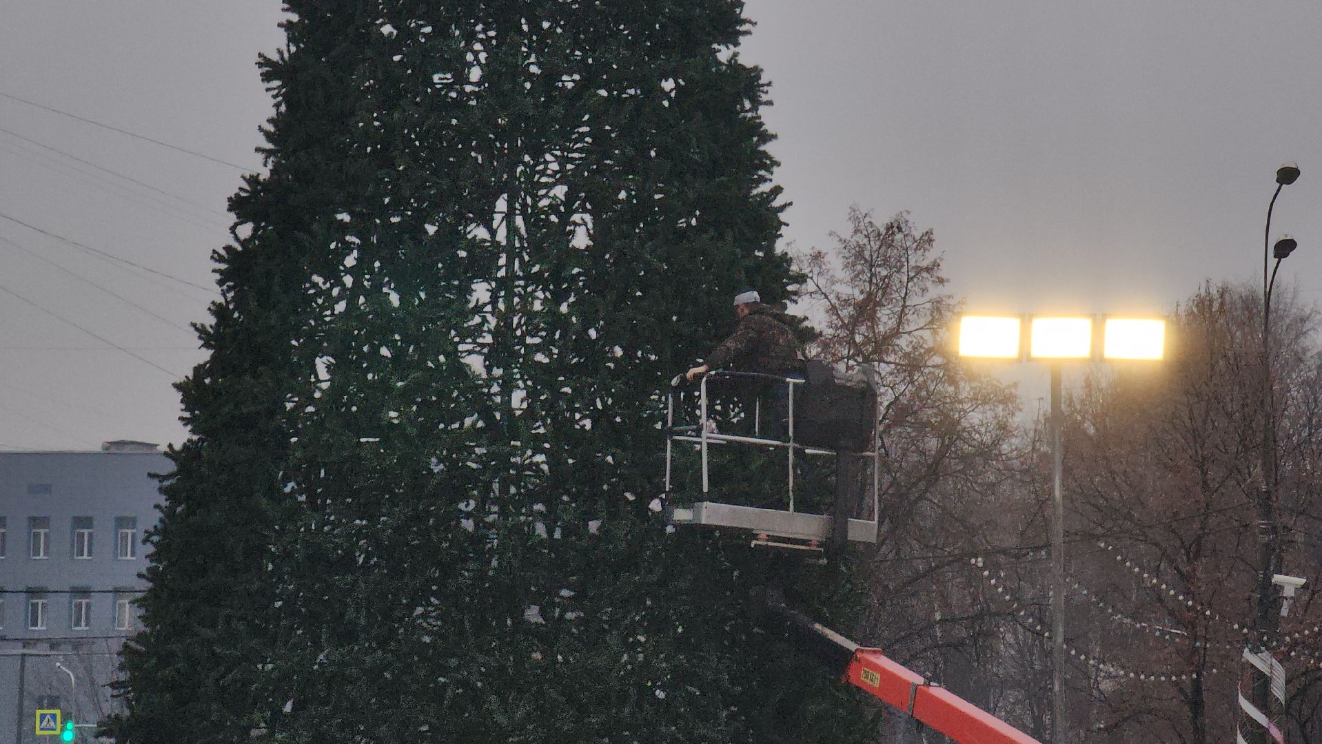 мытищи, установка елки,