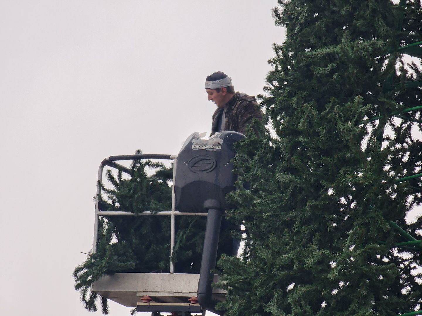 мытищи, установка елки,