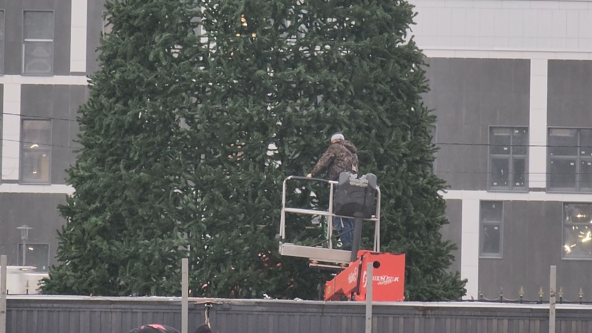 мытищи, установка елки,