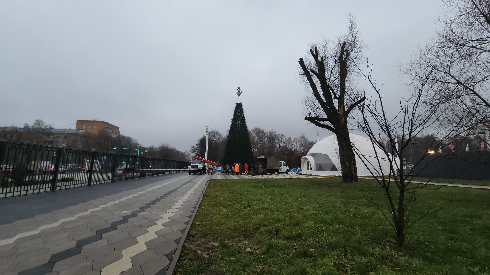 мытищи, установка елки,