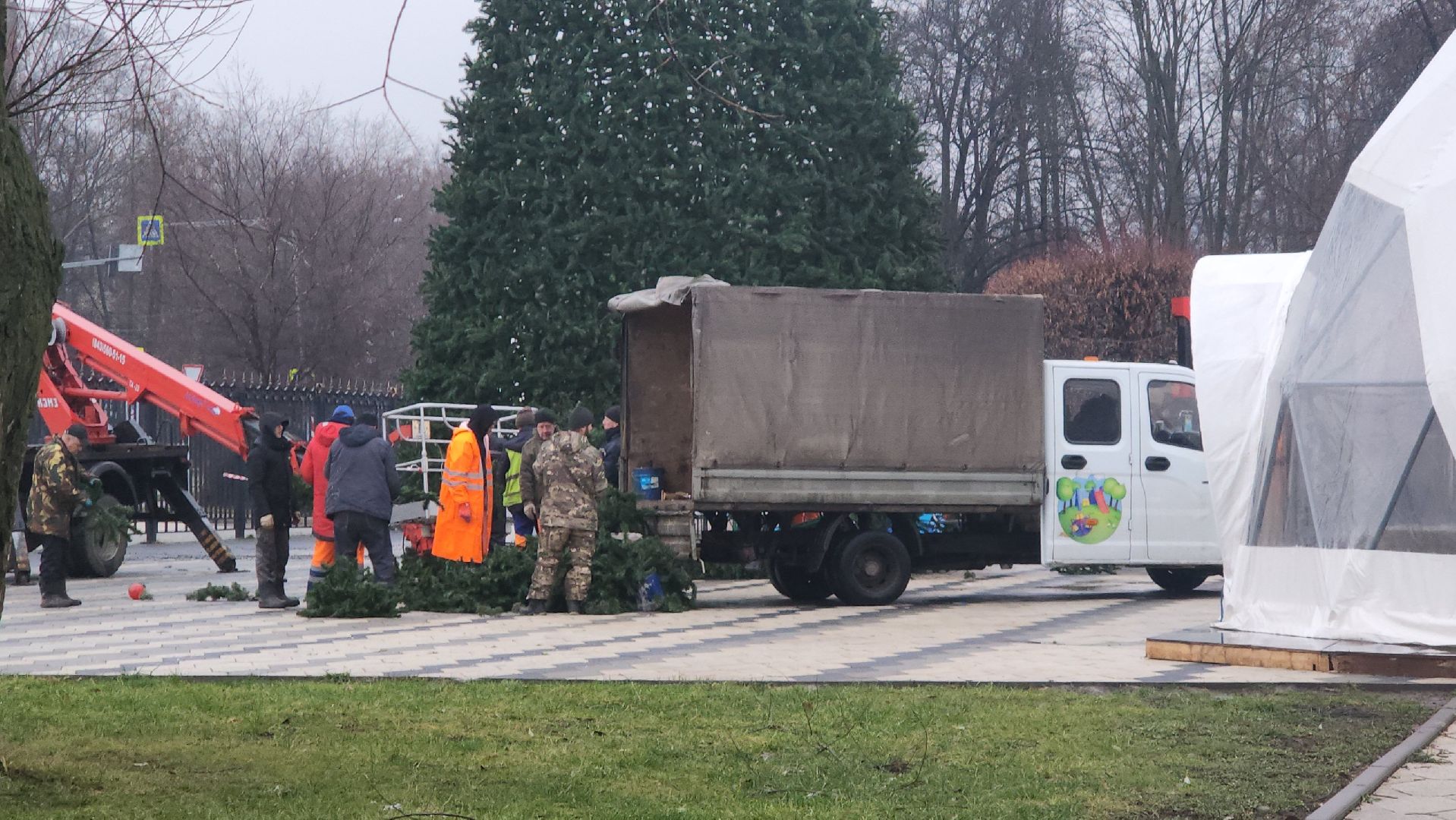 мытищи, установка елки,