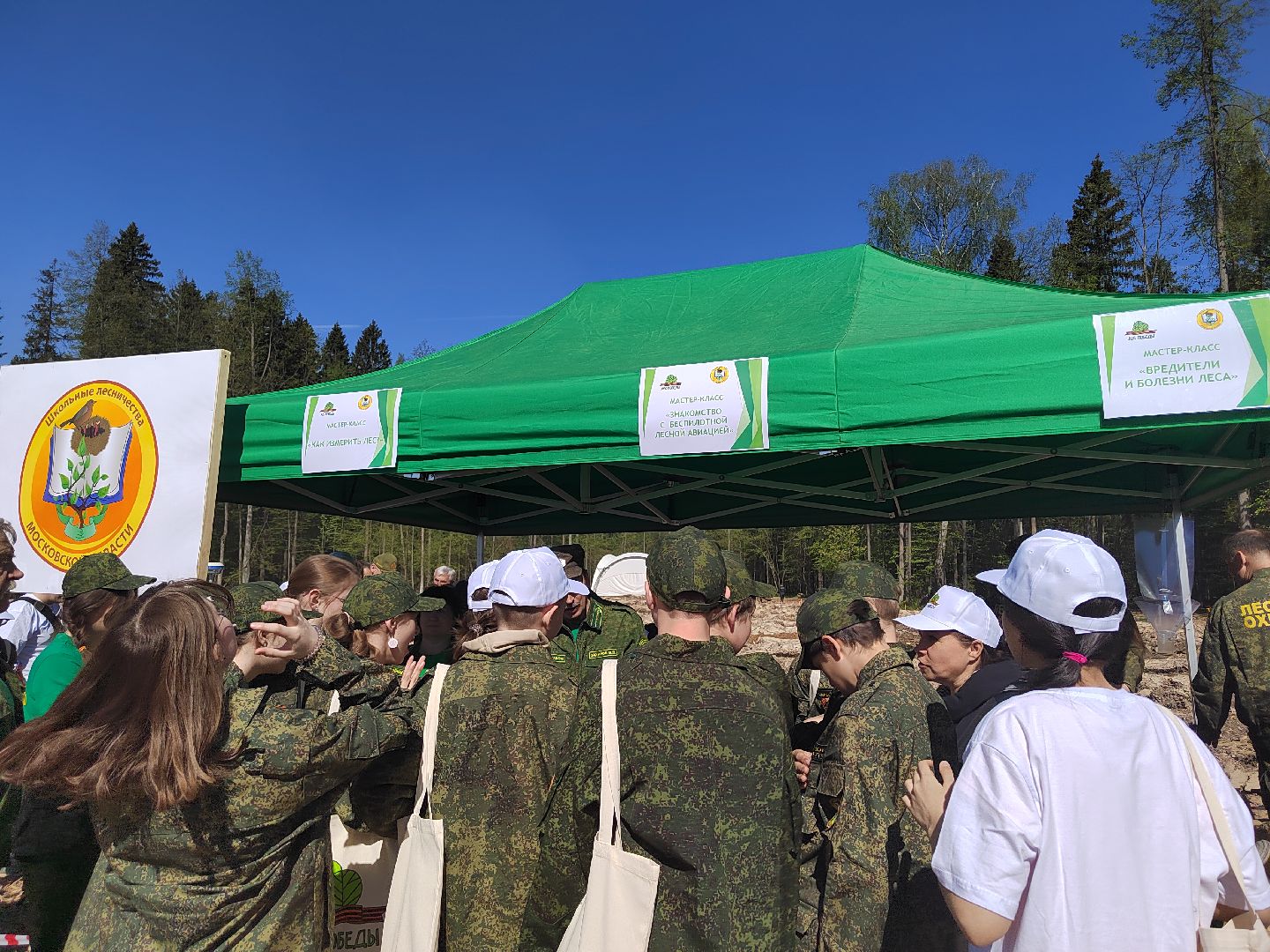 Пушкино, Мособллес, Лесная охрана, Лес Победы