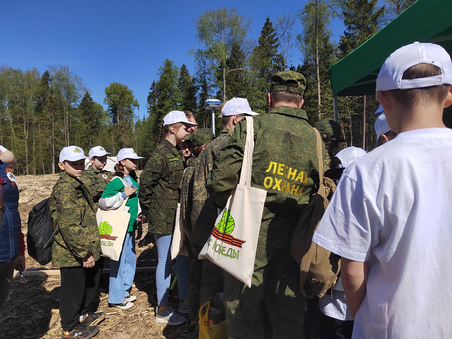 Пушкино, Мособллес, Лесная охрана, Лес Победы