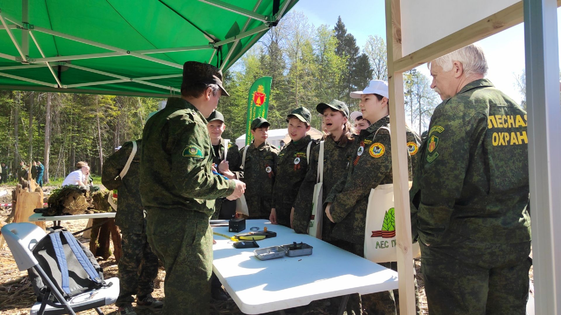Пушкино, Мособллес, Лесная охрана, Лес Победы