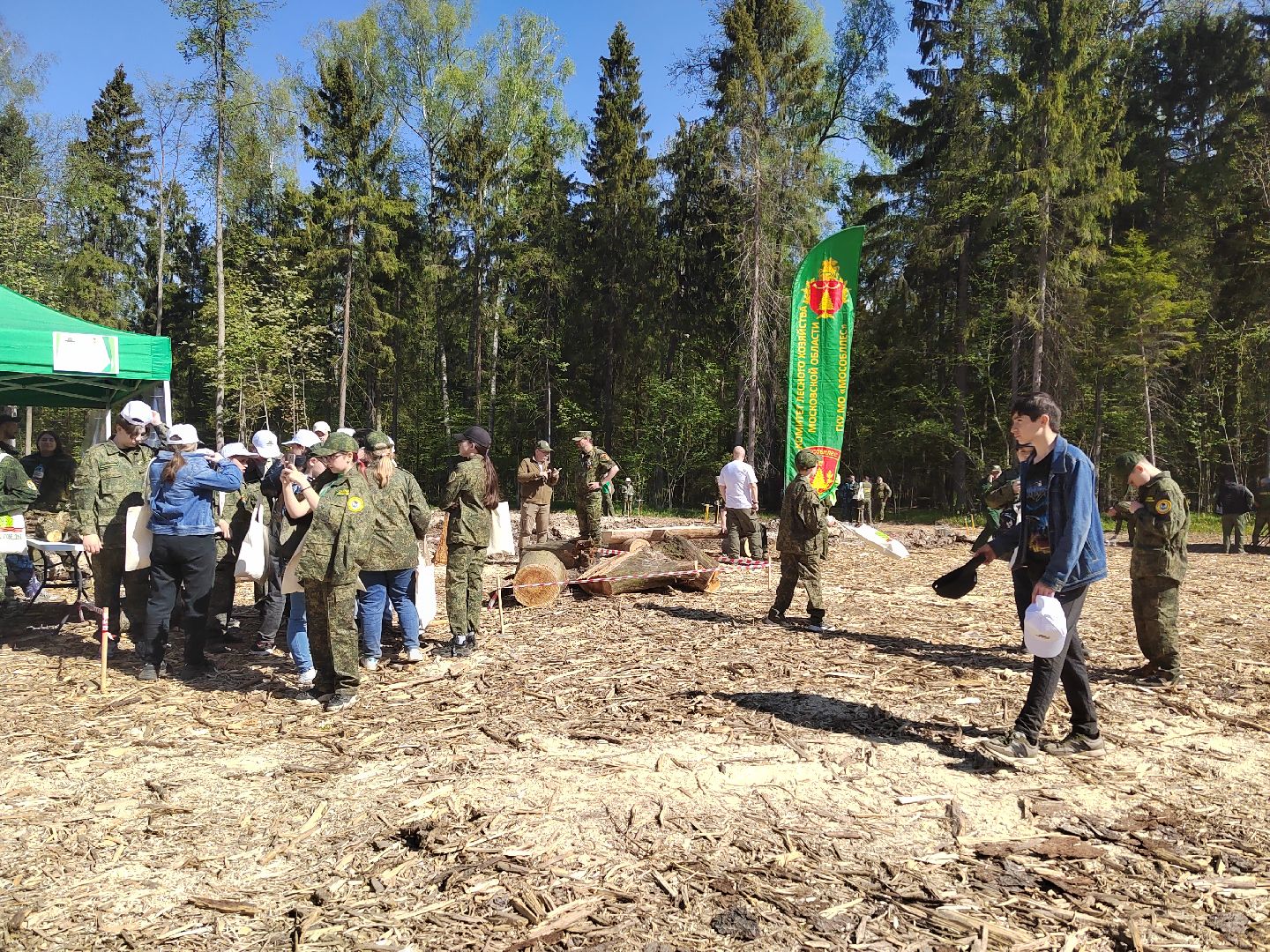 Пушкино, Мособллес, Лесная охрана, Лес Победы