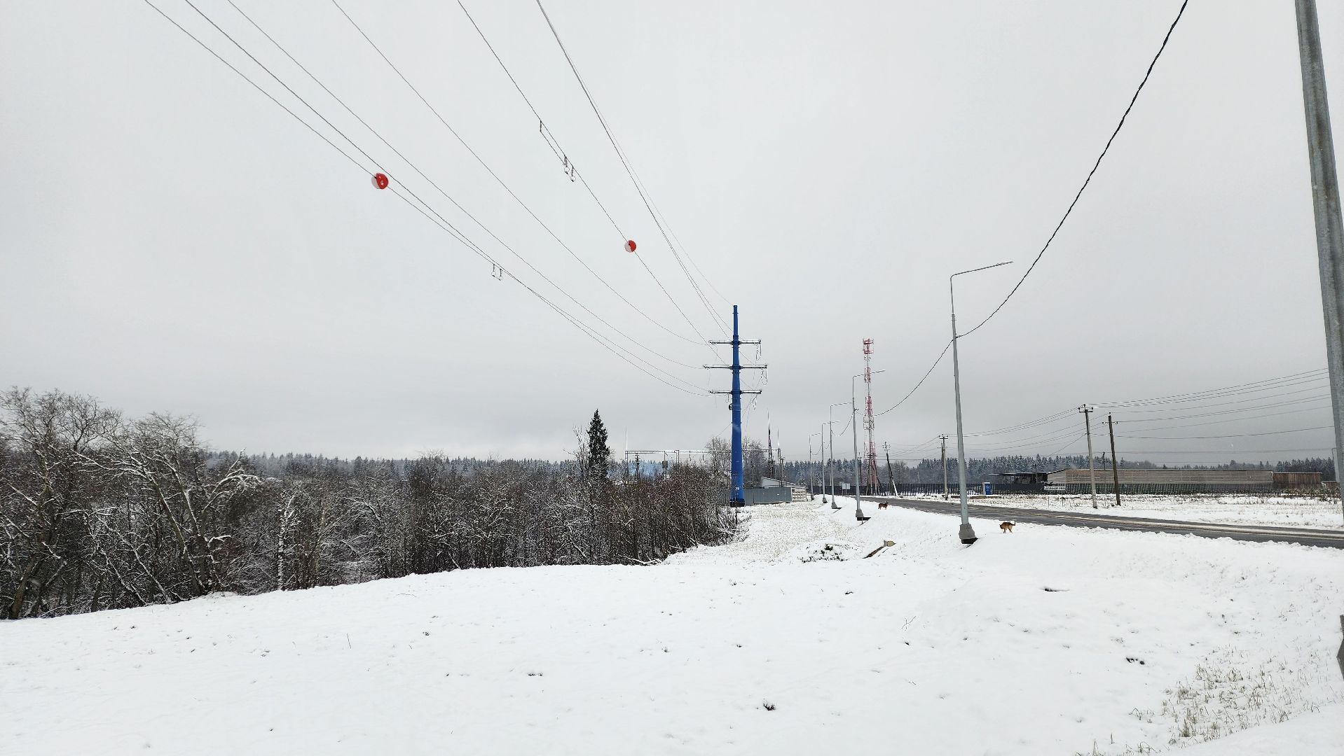 дороги, истра, строительство  дорог,