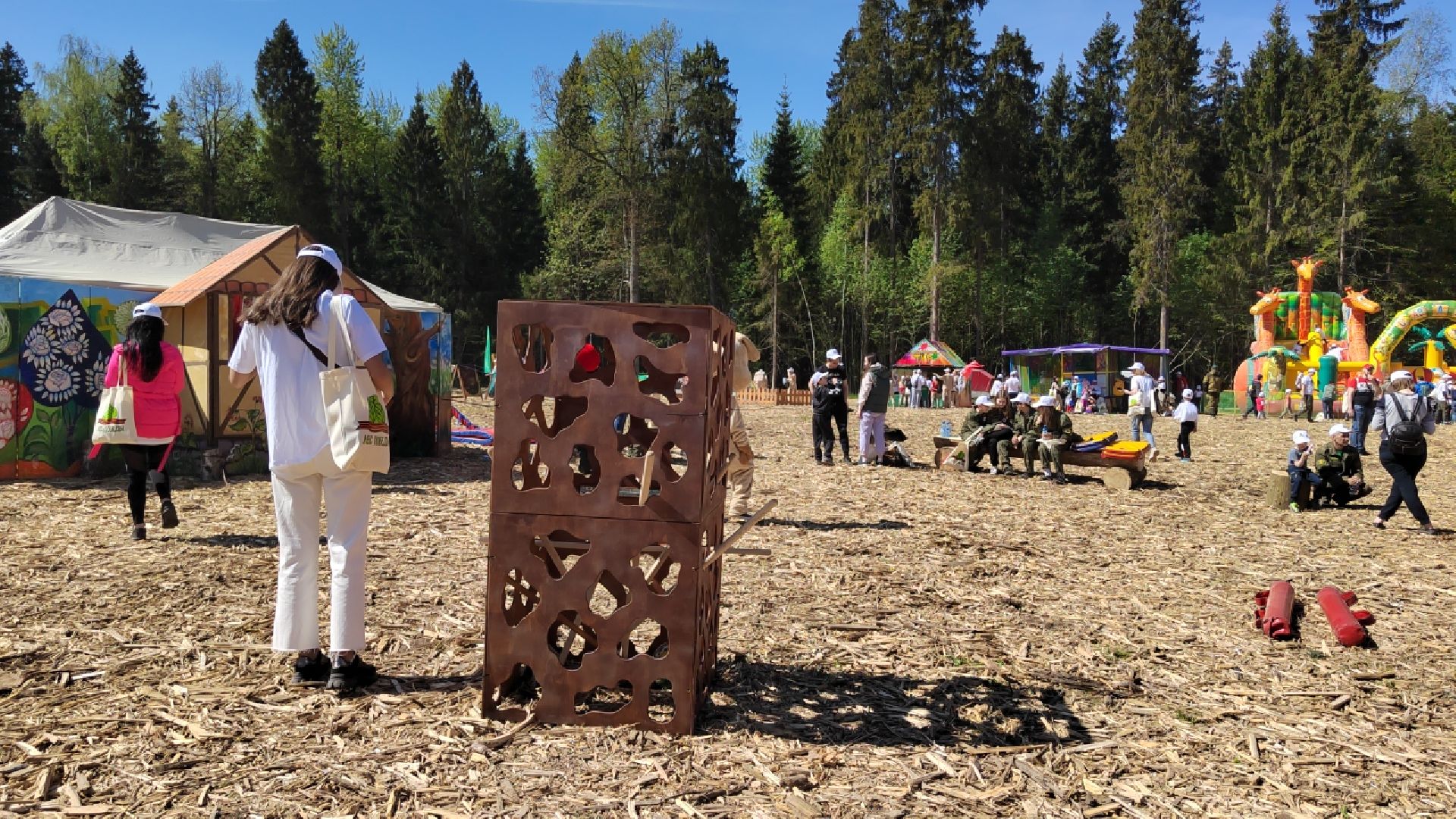 Пушкино, Ельдигино, культура, Лес Победы