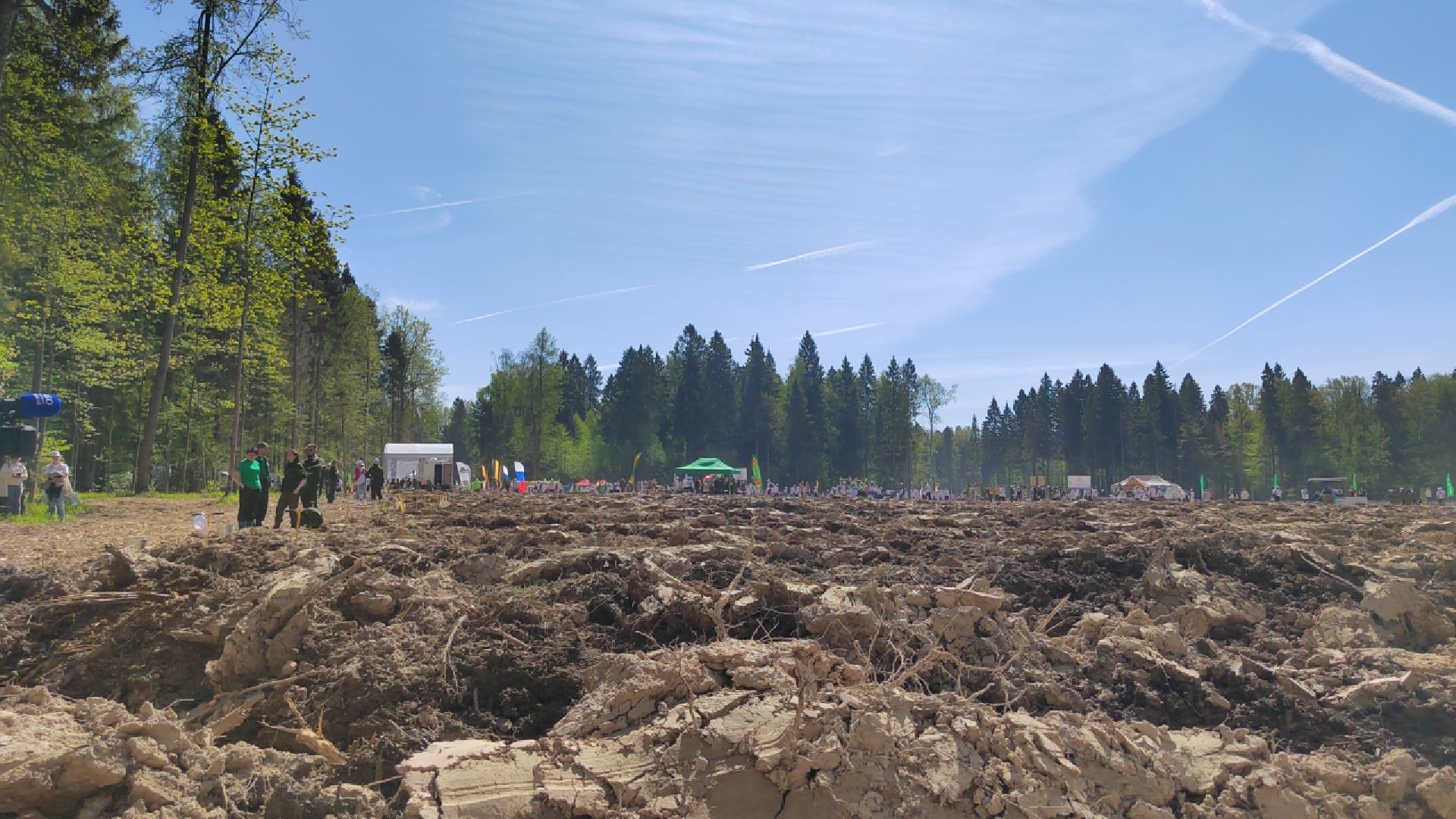 Пушкино, Ельдигино, культура, Лес Победы