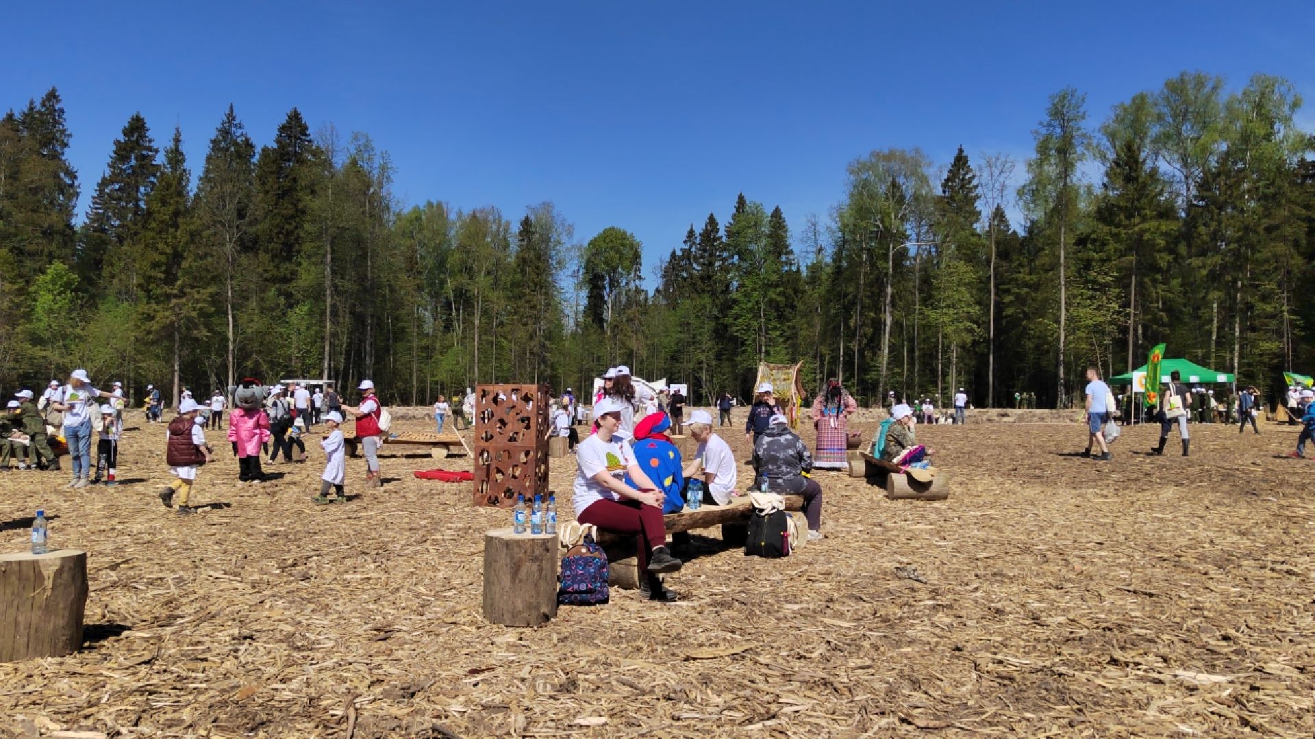 Пушкино, Ельдигино, культура, Лес Победы