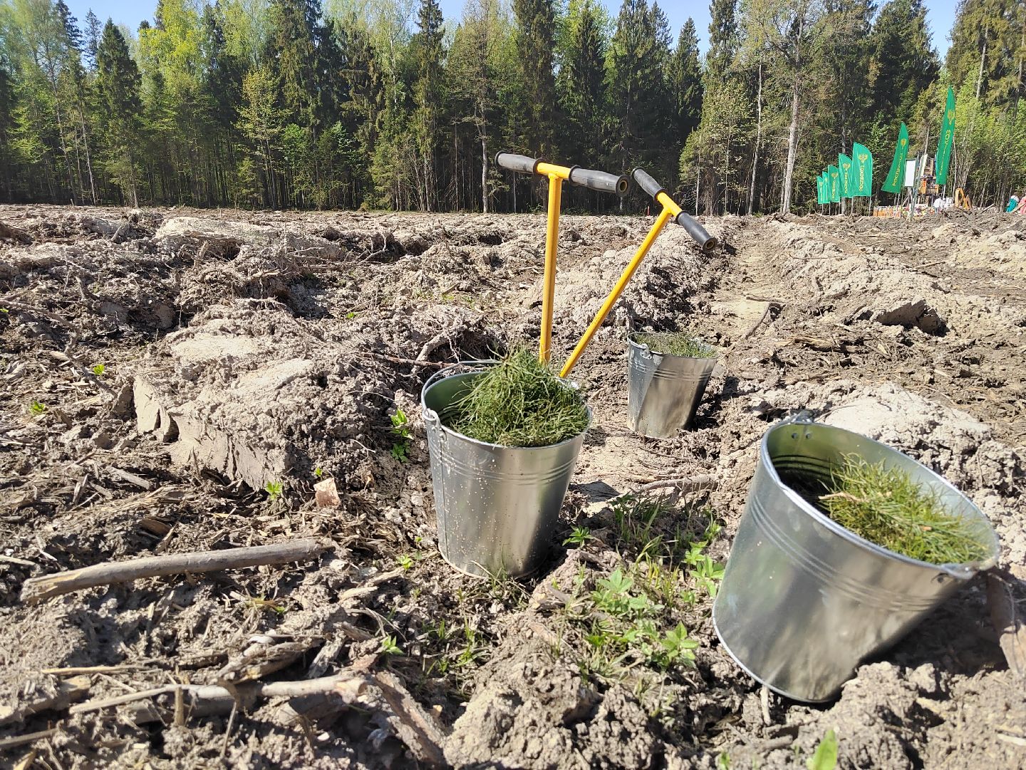 Пушкино, Мытищи, нотариус, Лес Победы, Пушкинский, Ельдигино