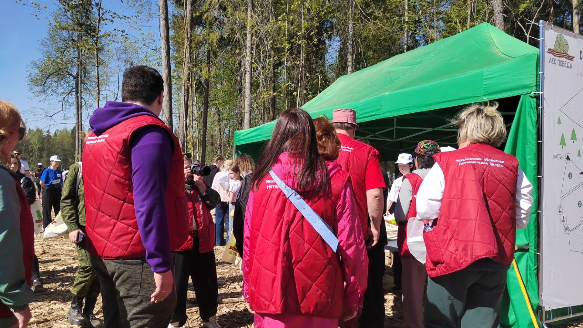 Пушкино, Мытищи, нотариус, Лес Победы, Пушкинский, Ельдигино