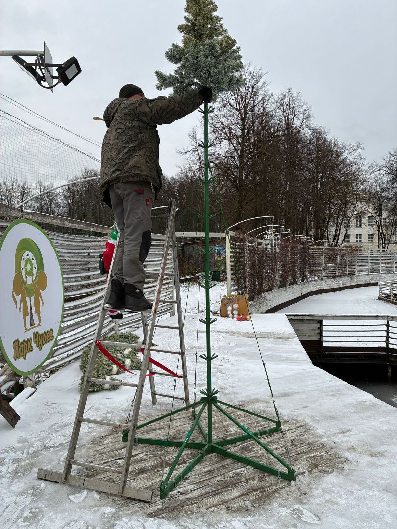 сергиев посад, сергиево-посадский городской округ, парк чудес, парки, зима в подмосковье,ёлка,