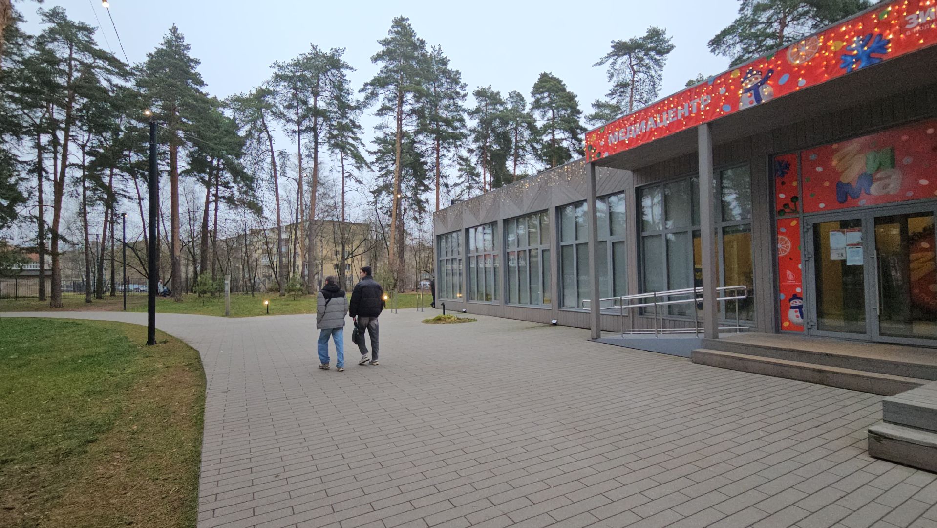 зима в подмосковье, жуковский, новогодняя елка,