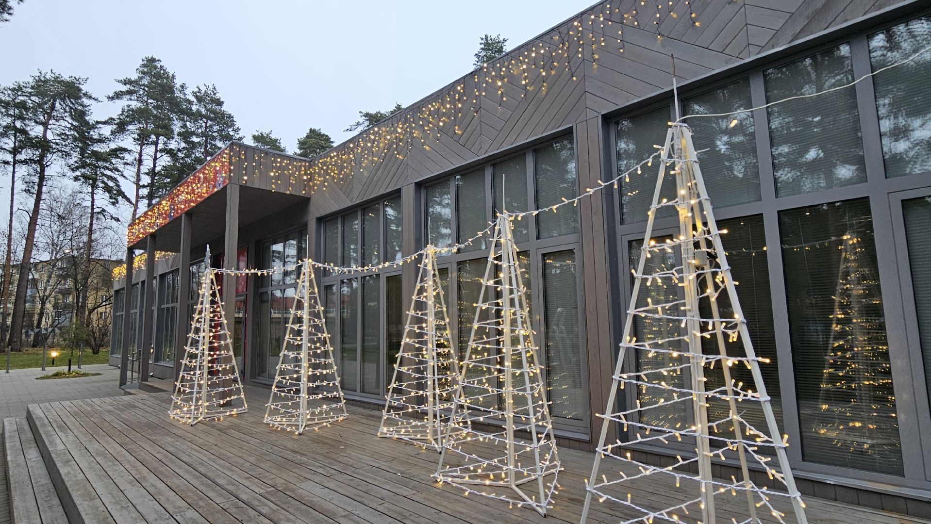 зима в подмосковье, жуковский, новогодняя елка,