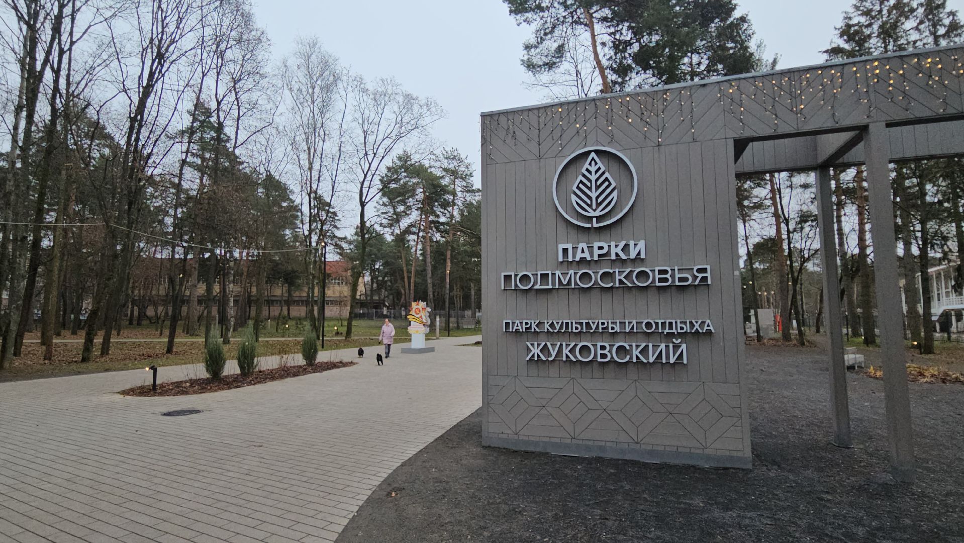 зима в подмосковье, жуковский, новогодняя елка,