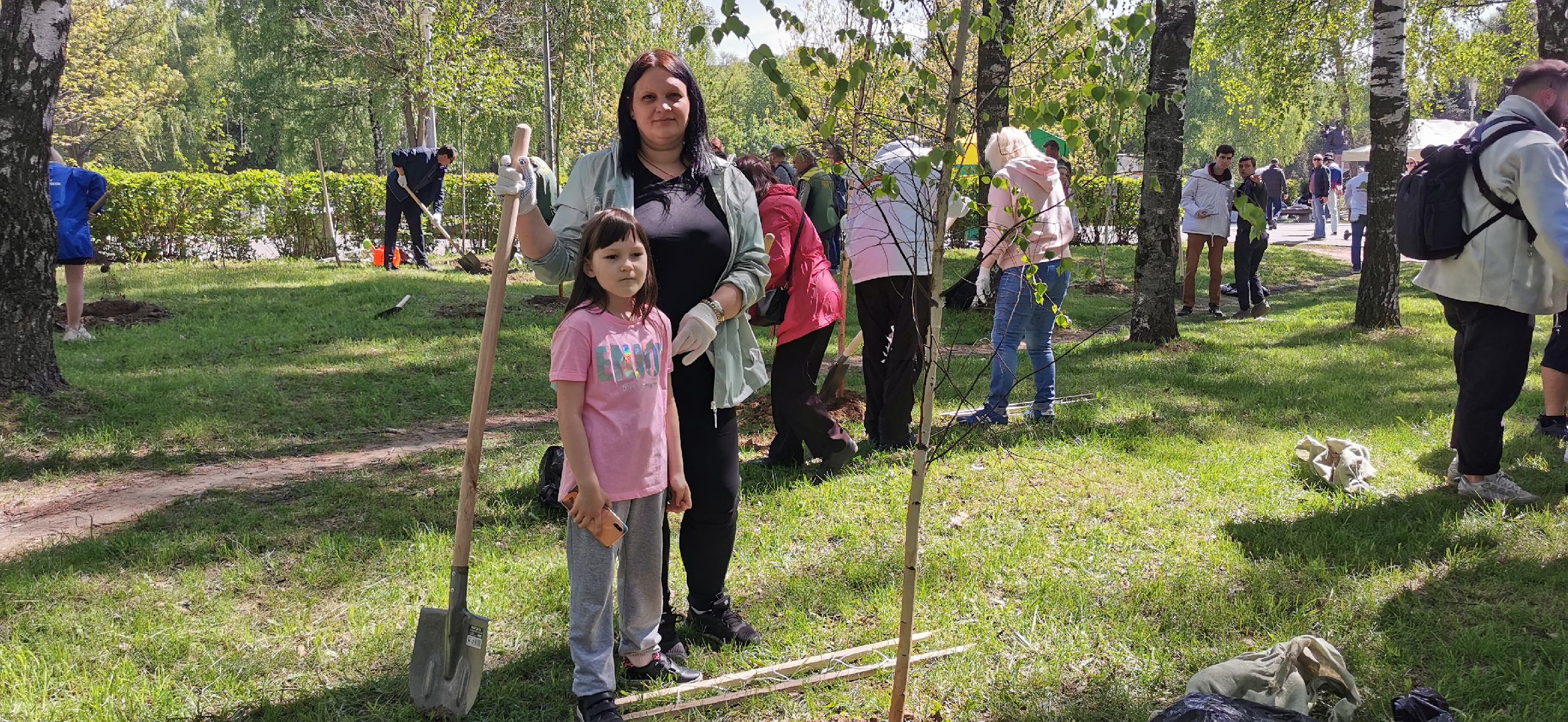 лес победы, экология, озеленение, благоустройство,