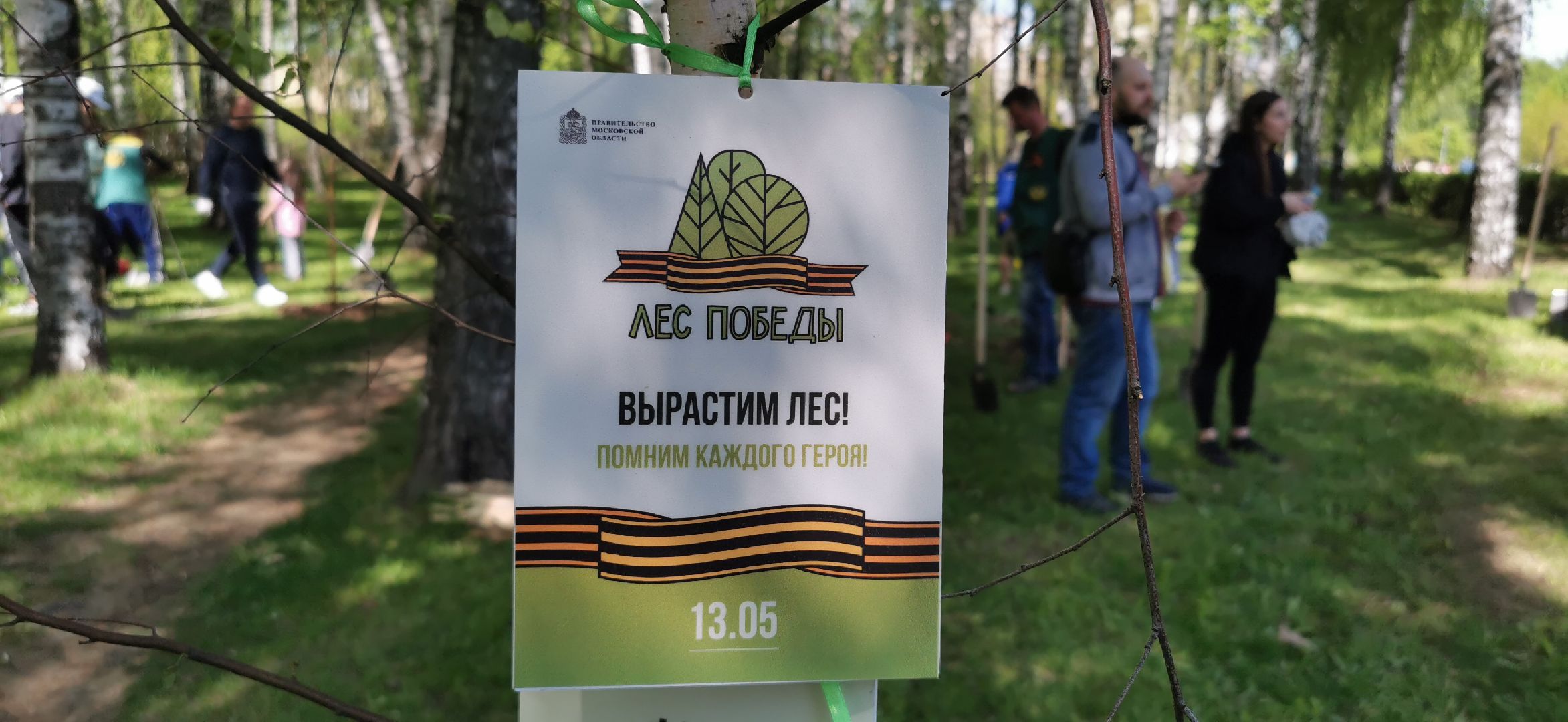 лес победы, экология, озеленение, благоустройство,