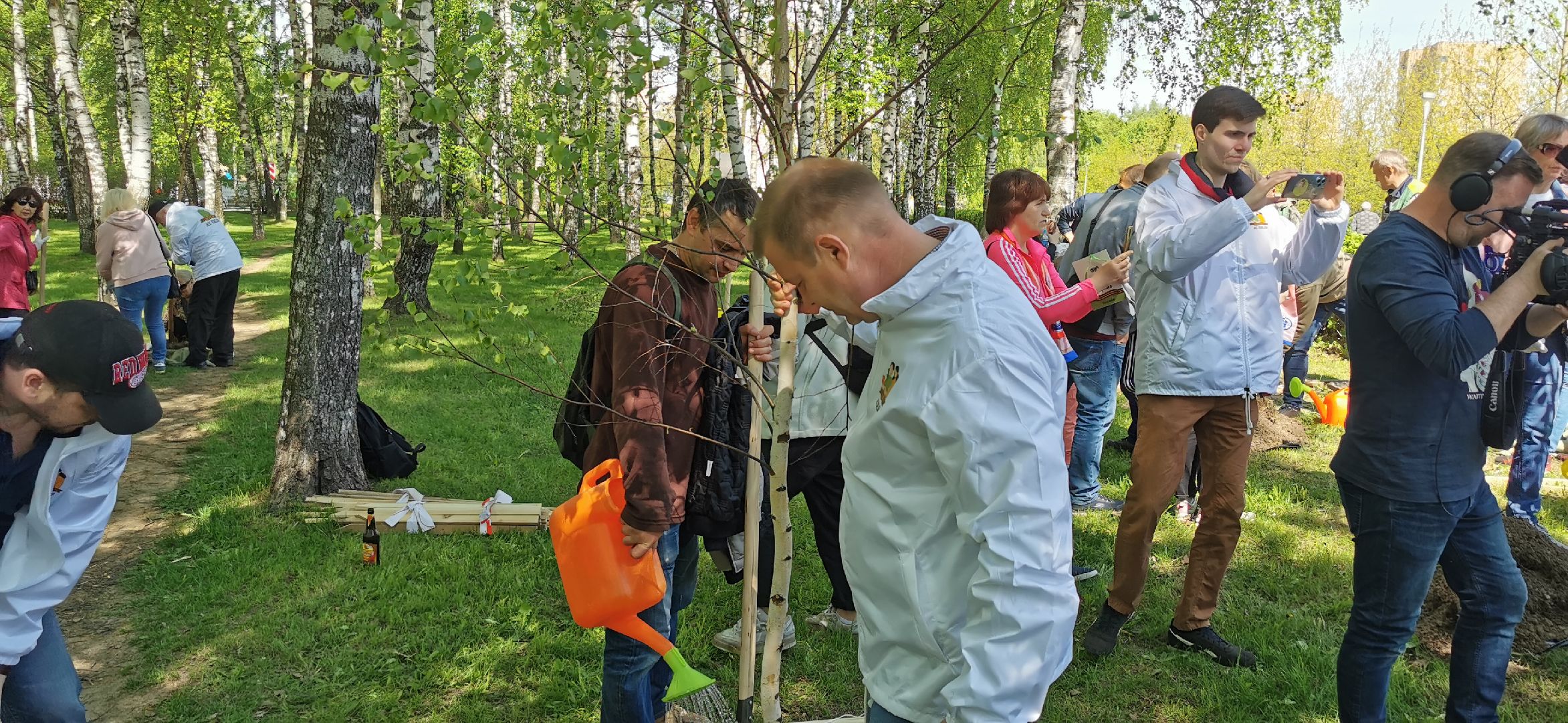 лес победы, экология, озеленение, благоустройство,