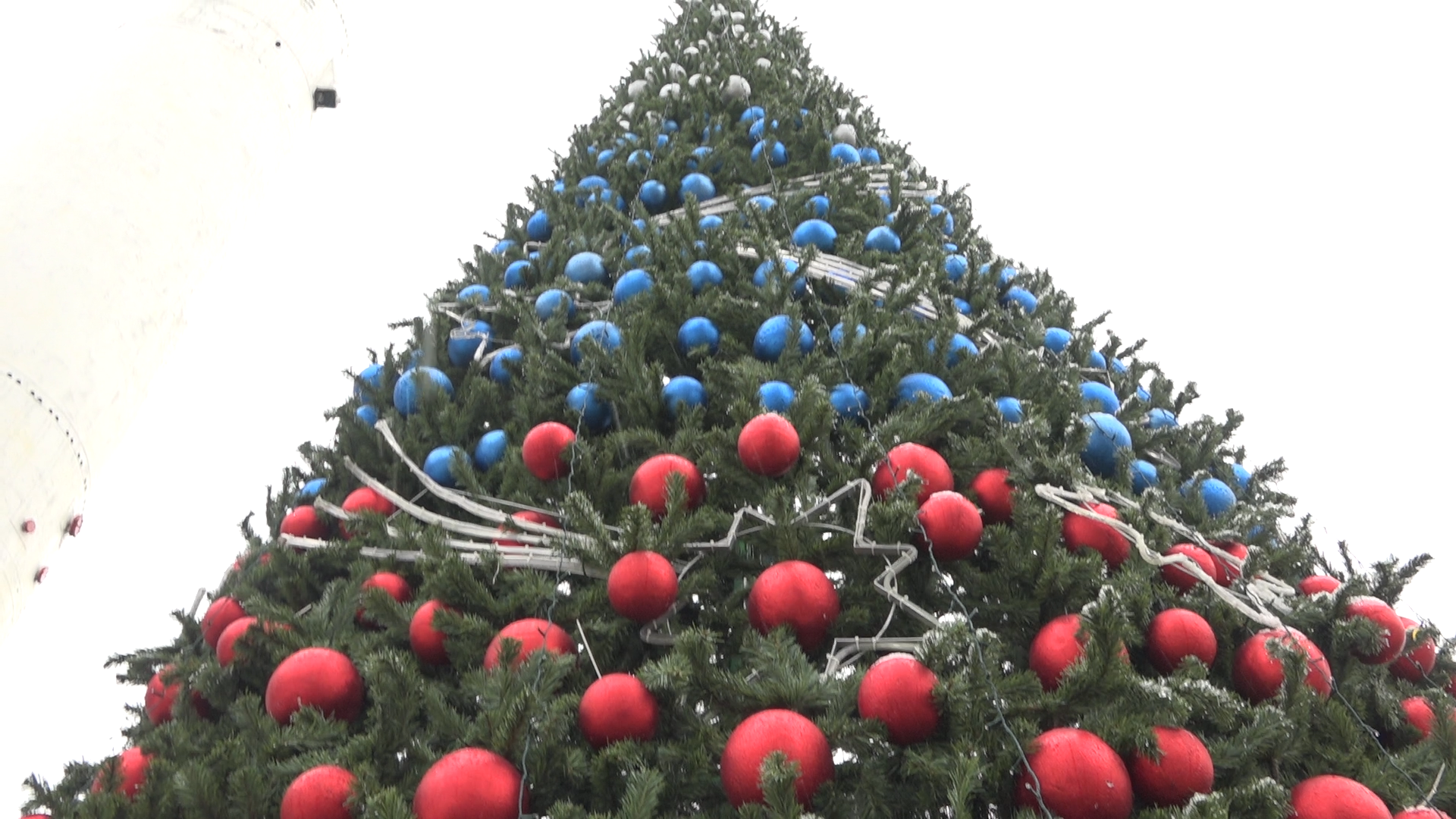 новый год, праздник нового года, елка во власихе, власиха новый год, украшение города к новому году,