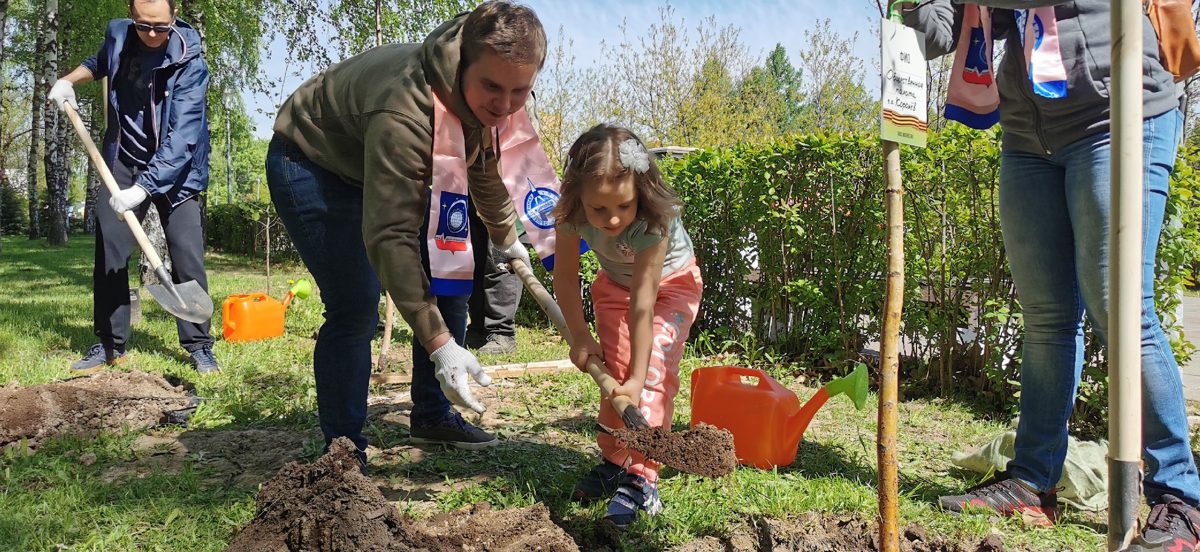лес победы, озеленение, экология,