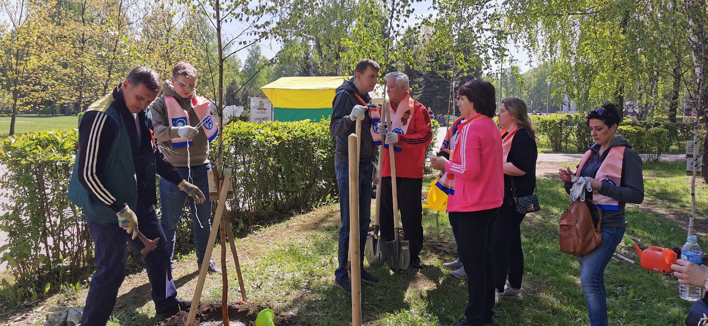 лес победы, озеленение, экология,