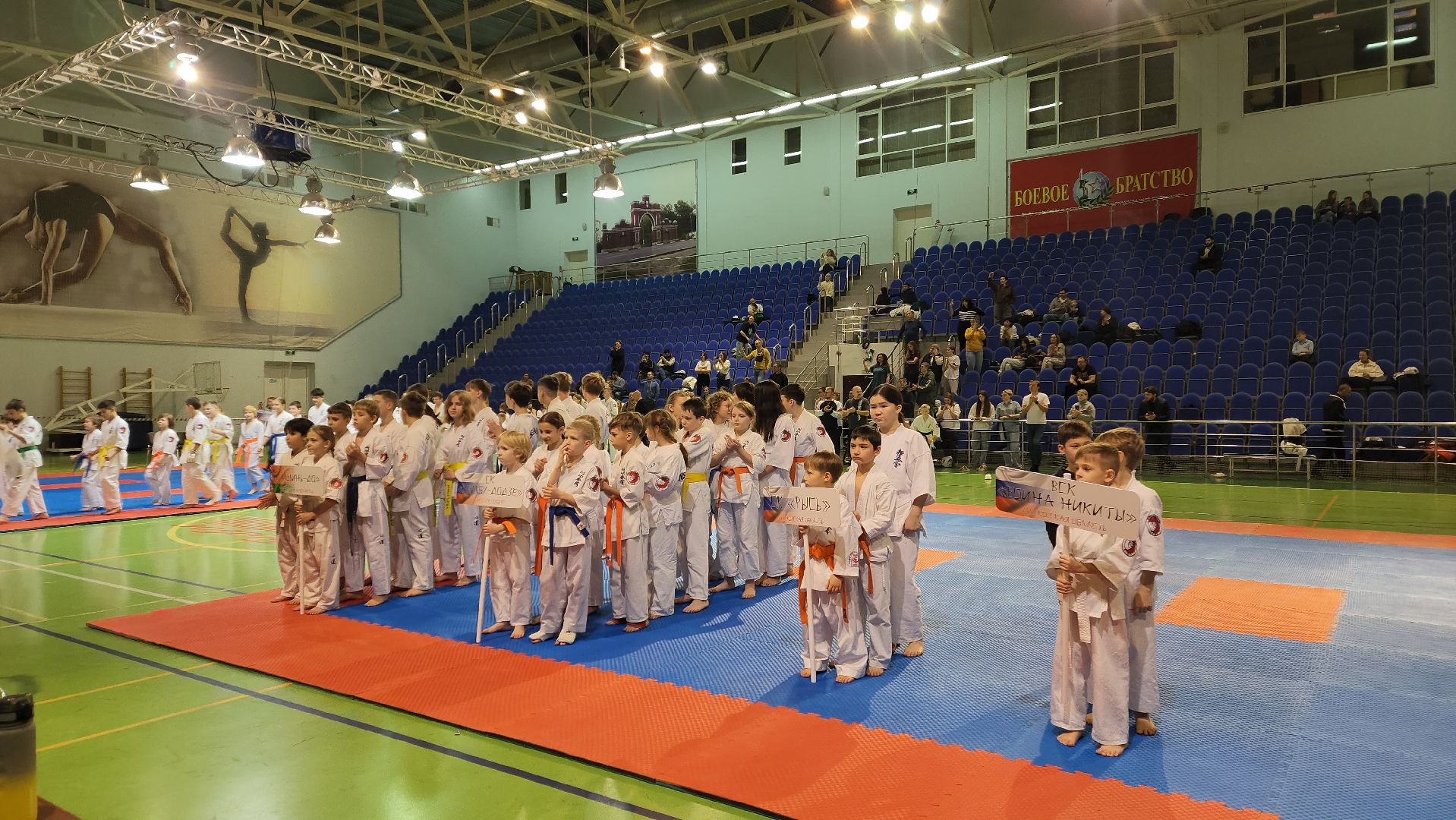 красноармейск, городской округ пушкинский, каратэ эншин, боевые искусства, международный турнир,