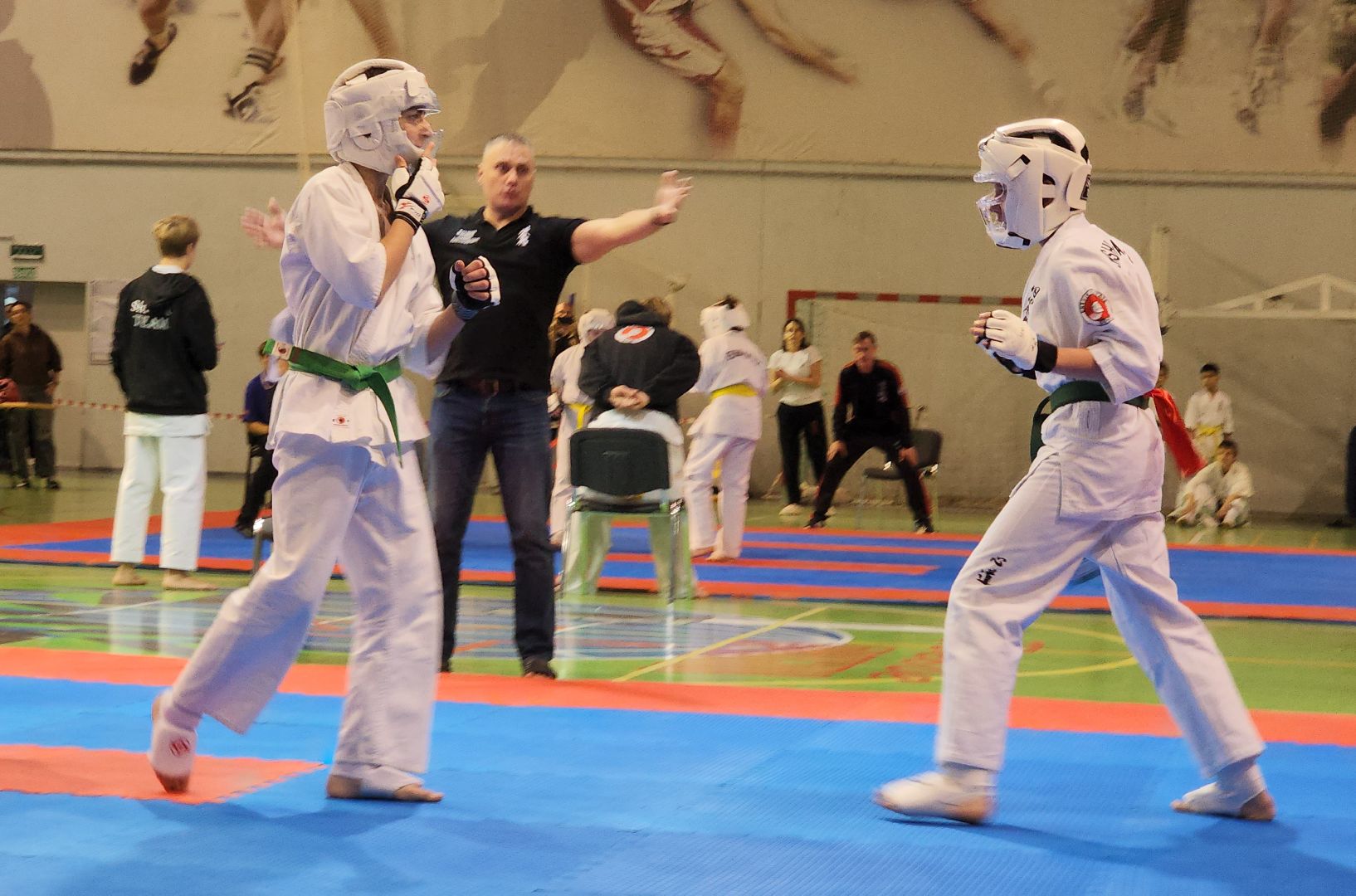 красноармейск, городской округ пушкинский, каратэ эншин, боевые искусства, международный турнир,