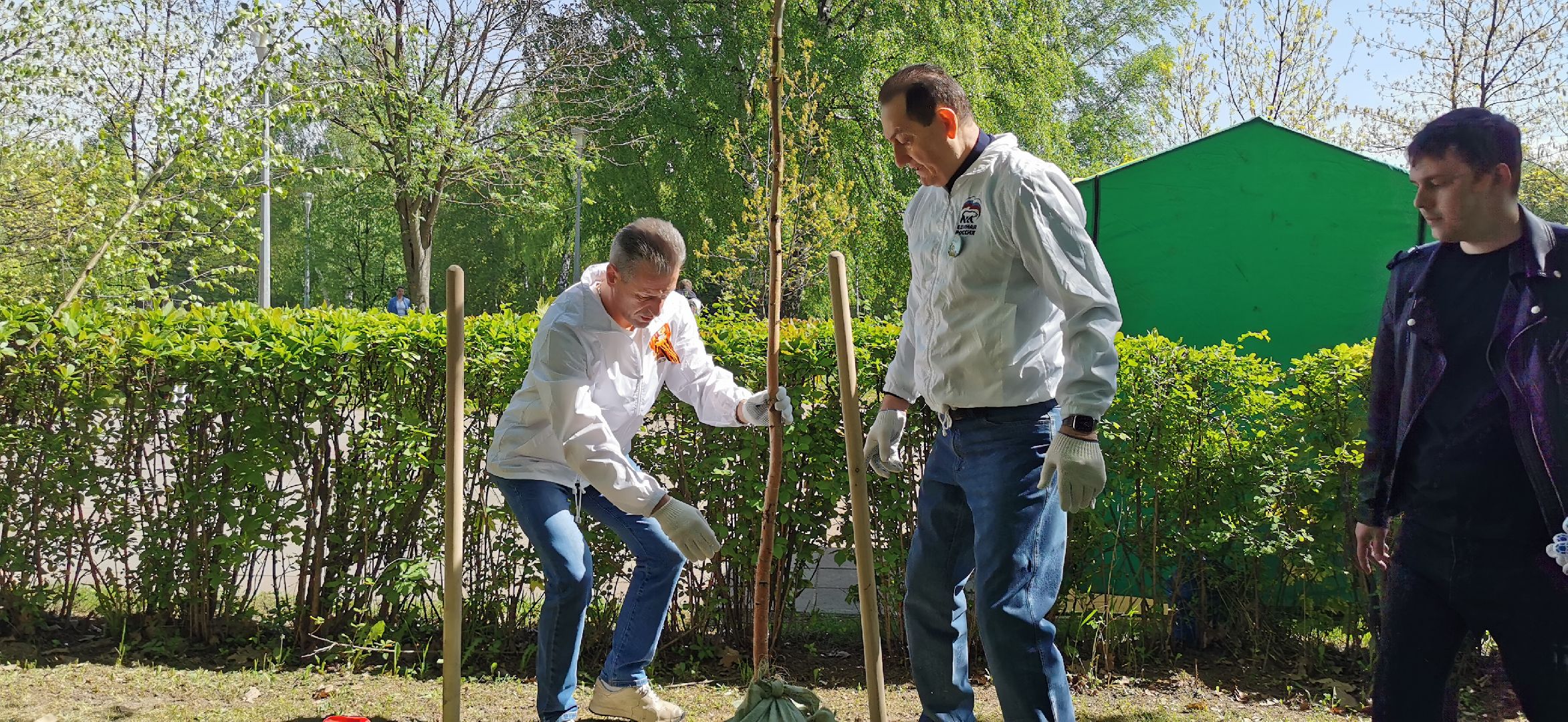 лес победы, озеленение, экология,