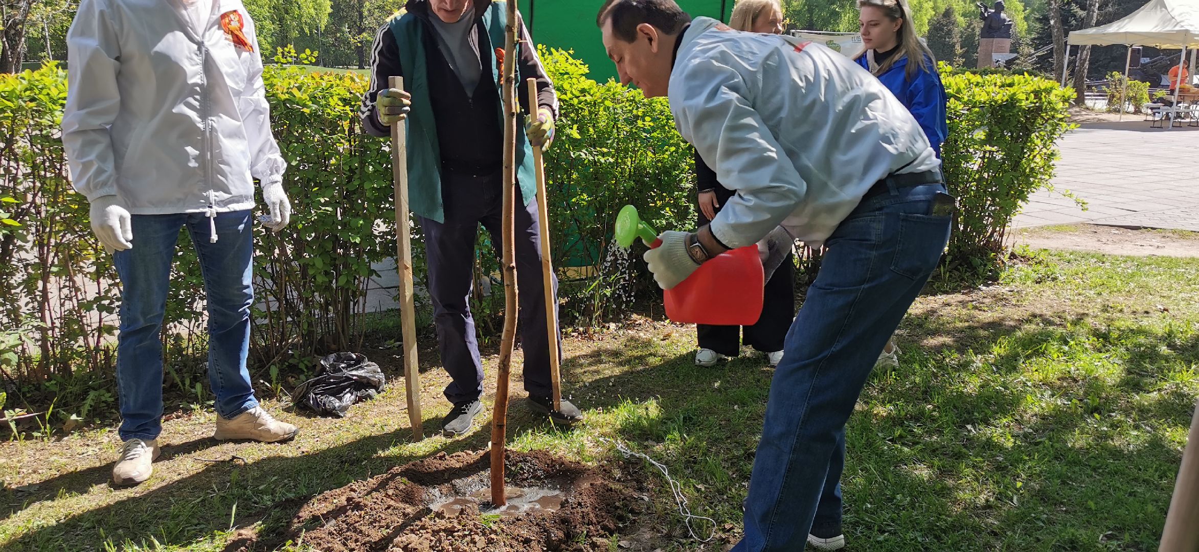 лес победы, озеленение, экология,