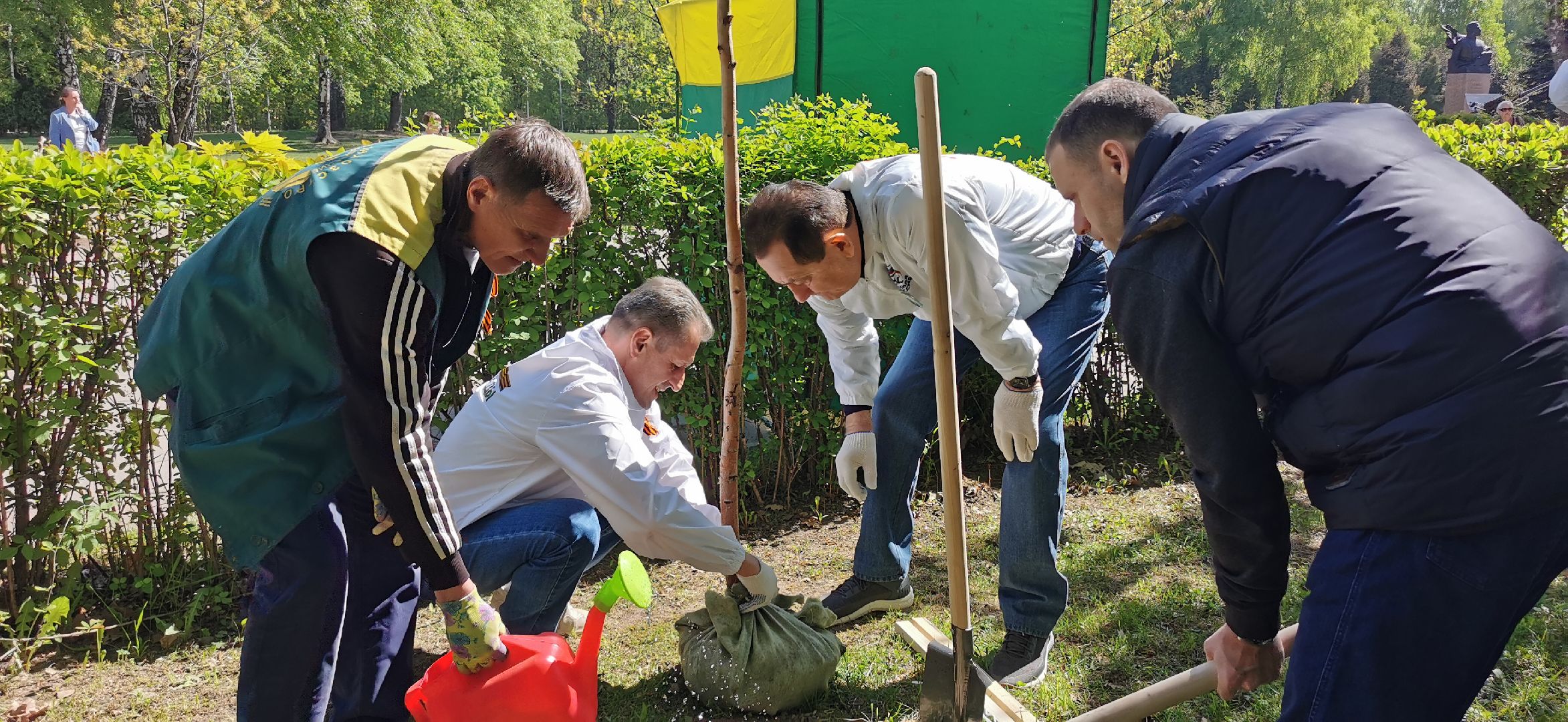 лес победы, озеленение, экология,
