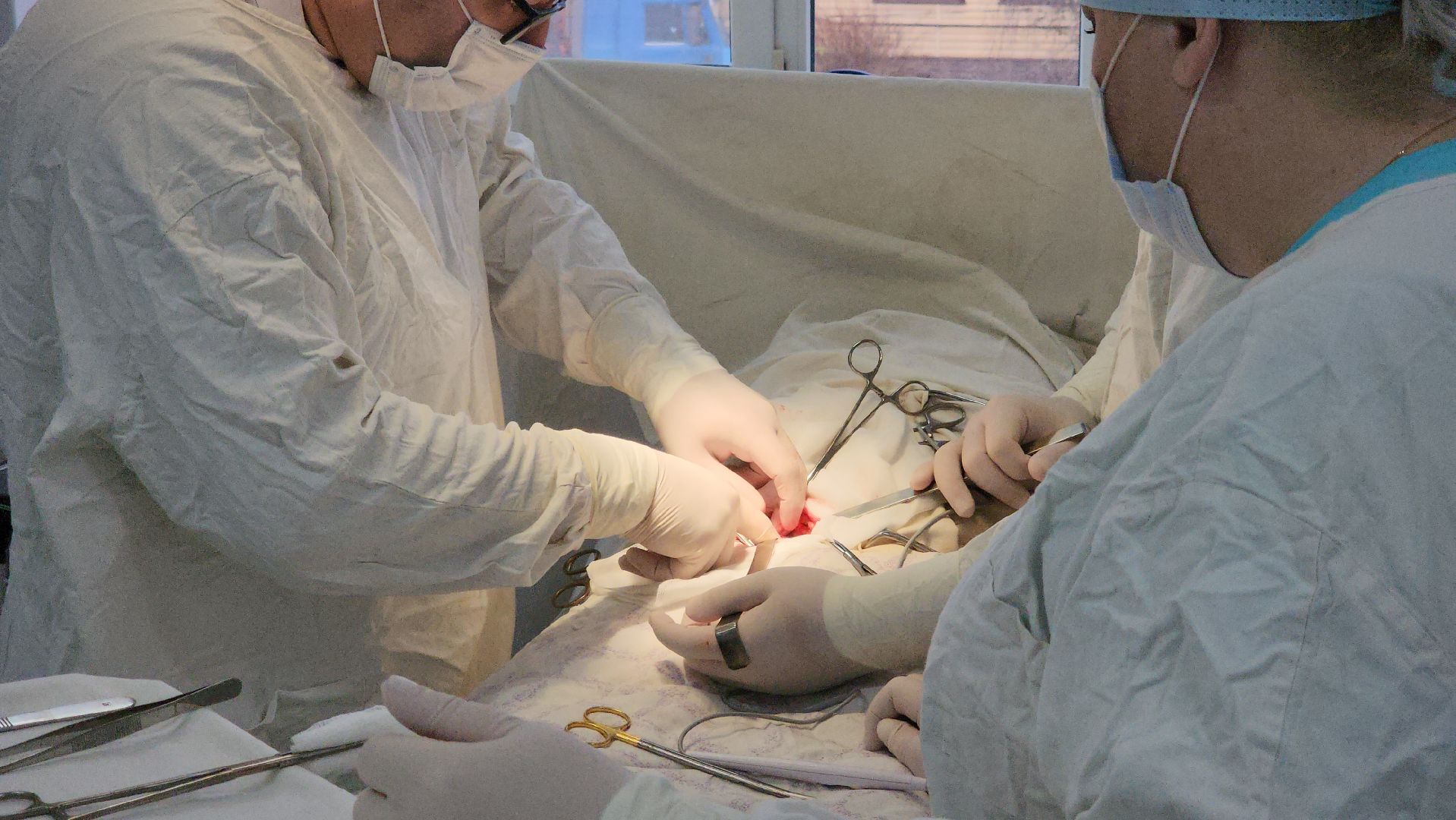 Руза, Медицина, Рузская больница,