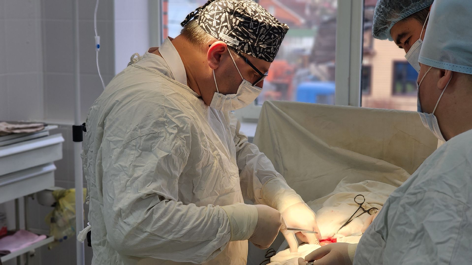 Руза, Медицина, Рузская больница,