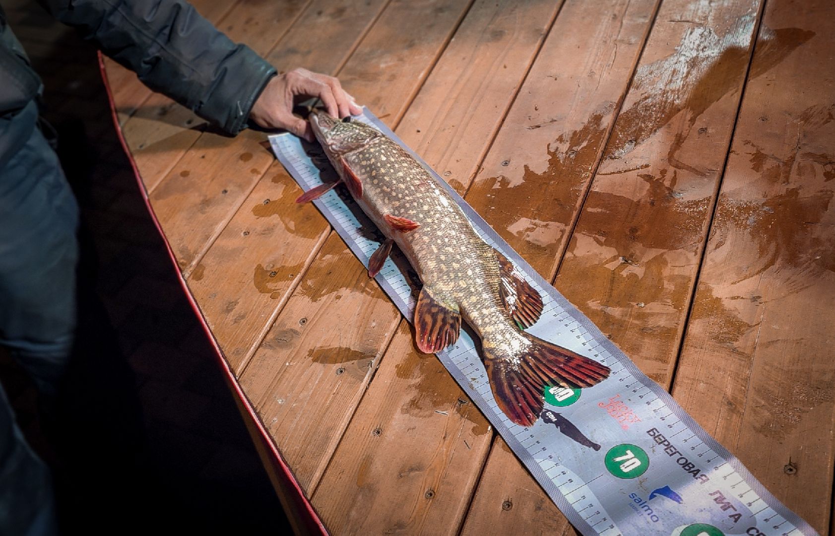 бронницы, рыболовный спорт в бронницах, турнир по ловле рыбы на спининг, парк бронницкий луг,